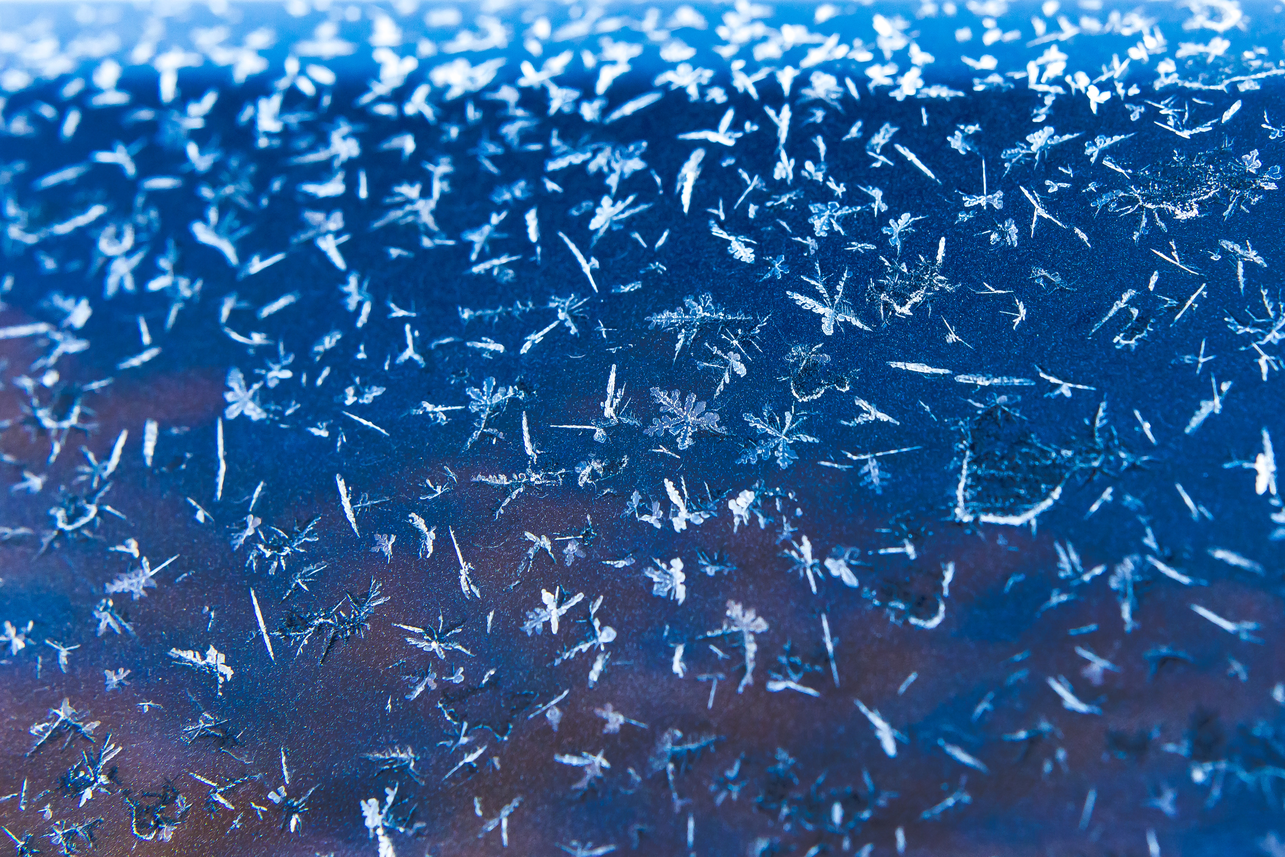 Day 86/365 - Flakes