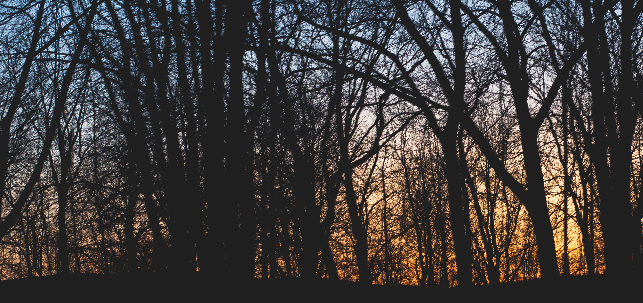 Day 99/365 - Fleeting Light