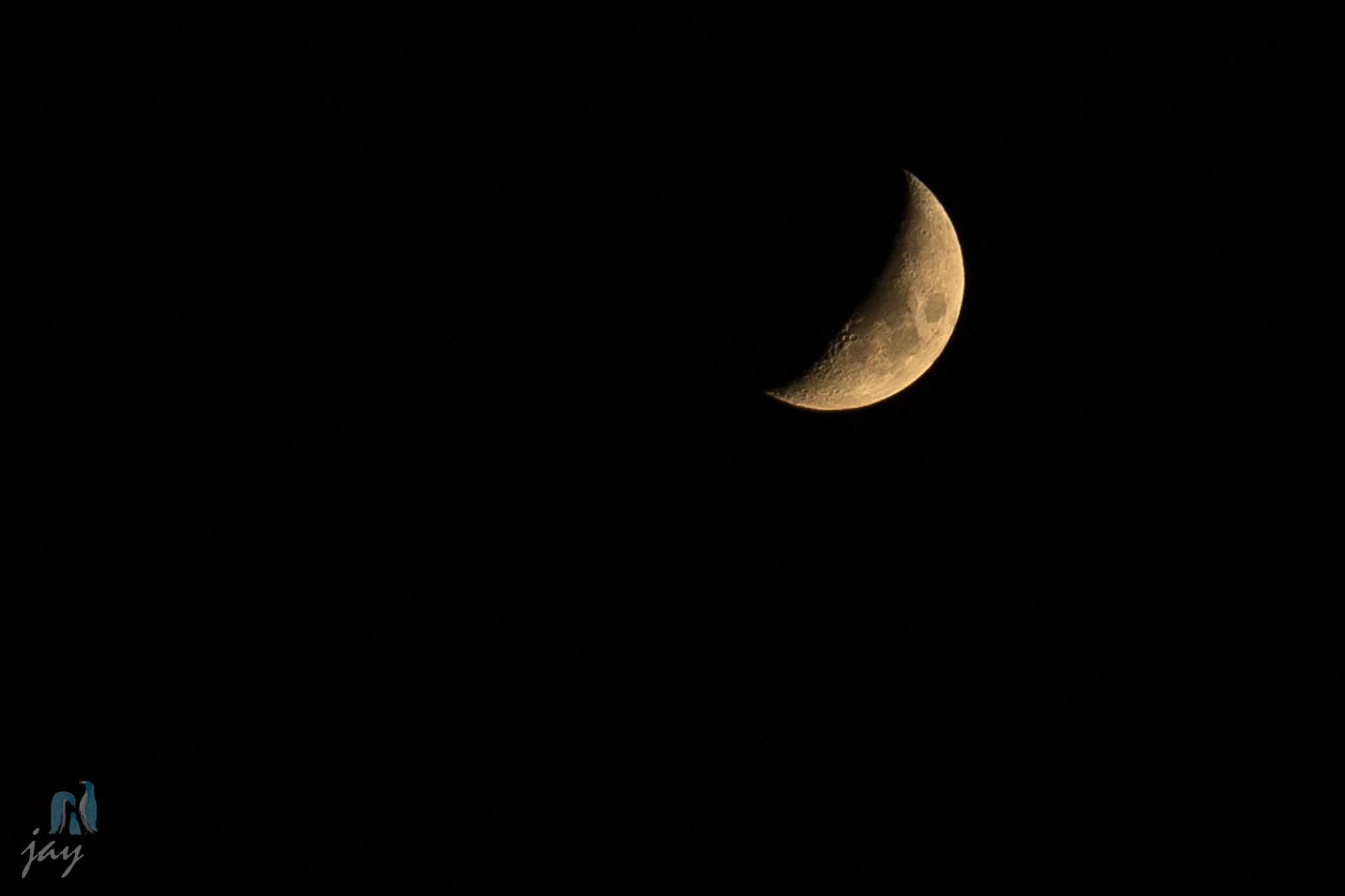 Day 152 - Luna Forming