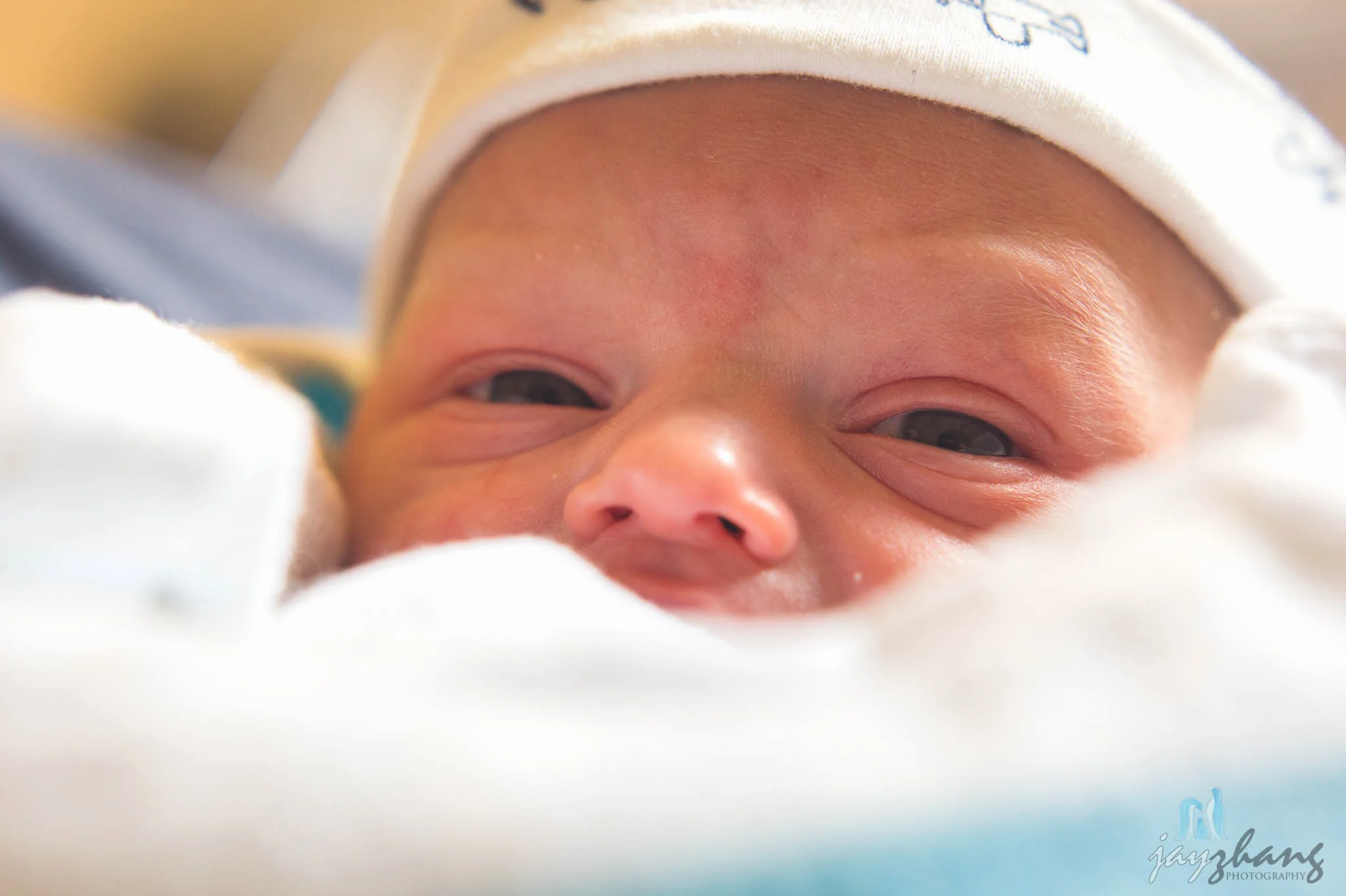 Day 155 - Newly Born-2.jpg