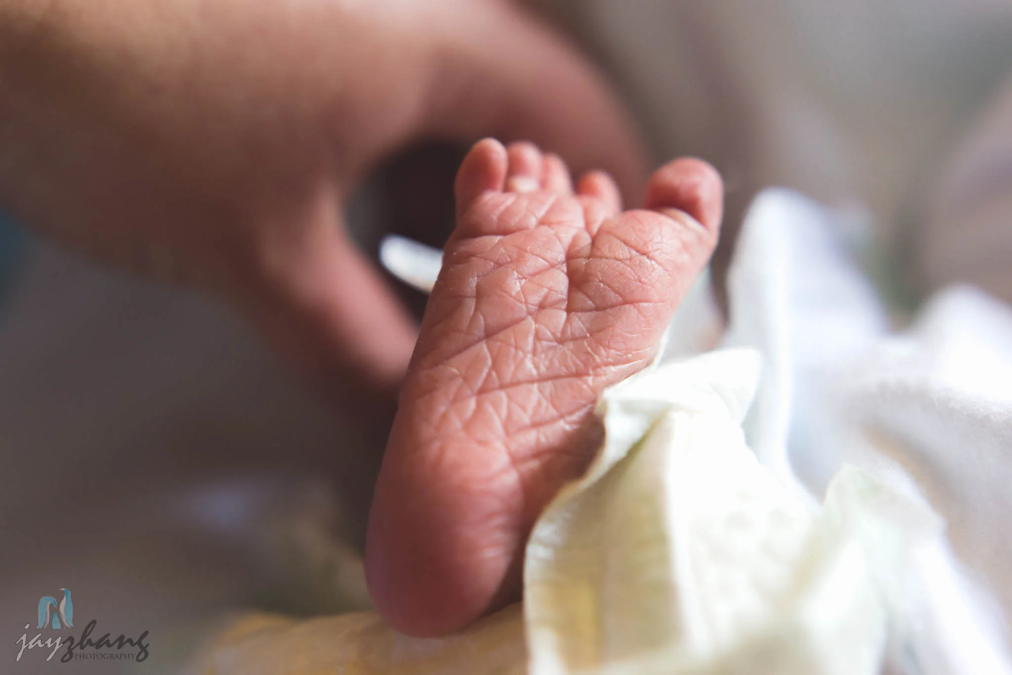 Day 155 - Newly Born-4.jpg