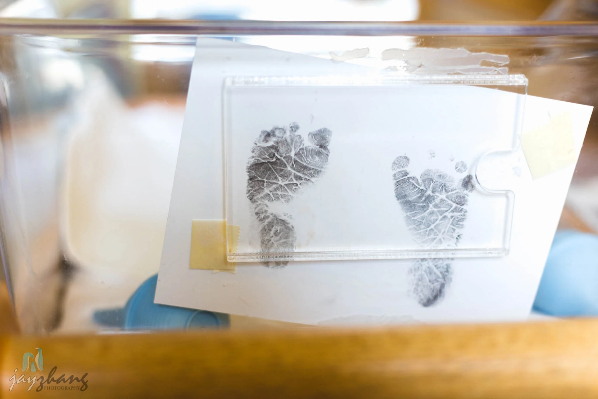 Day 155 - Newly Born-3.jpg