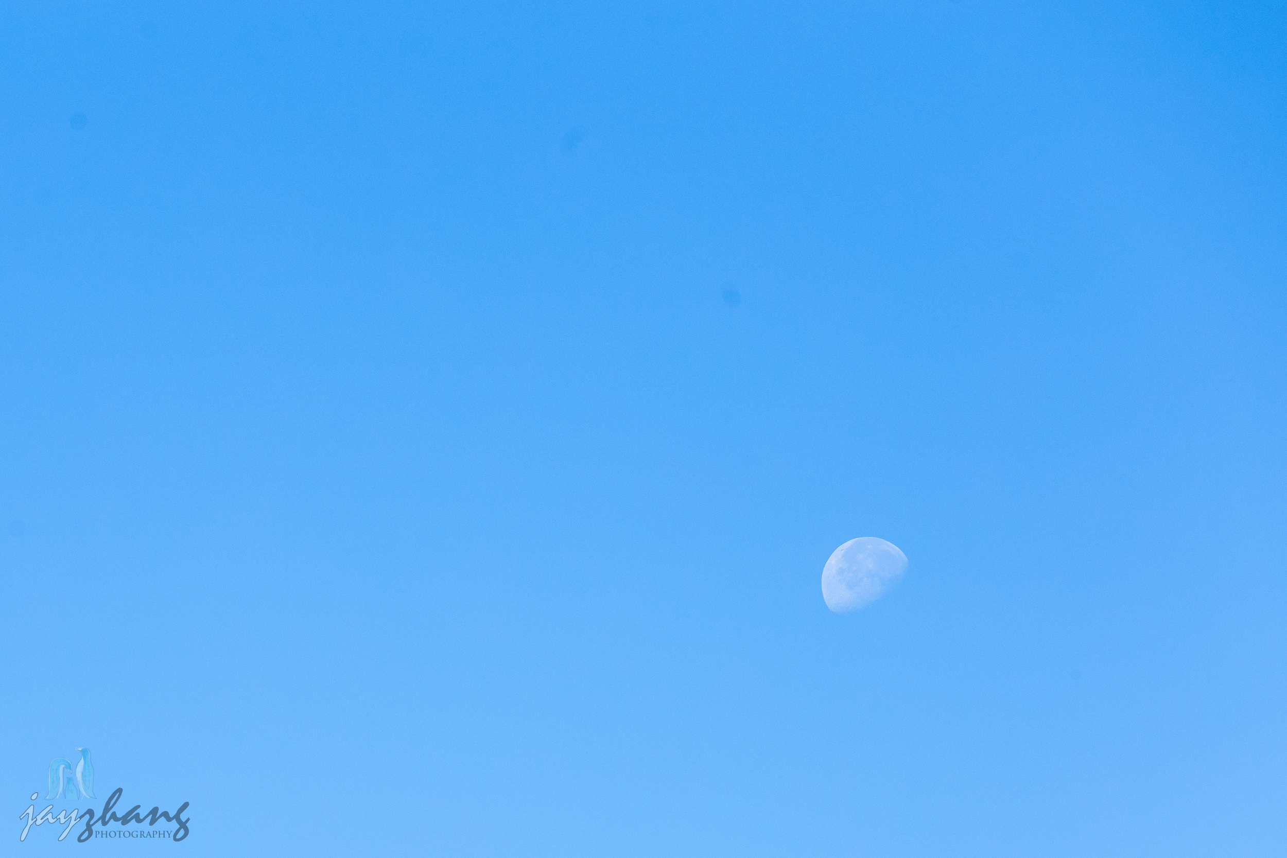 Day 165 - Majestic Appearance
