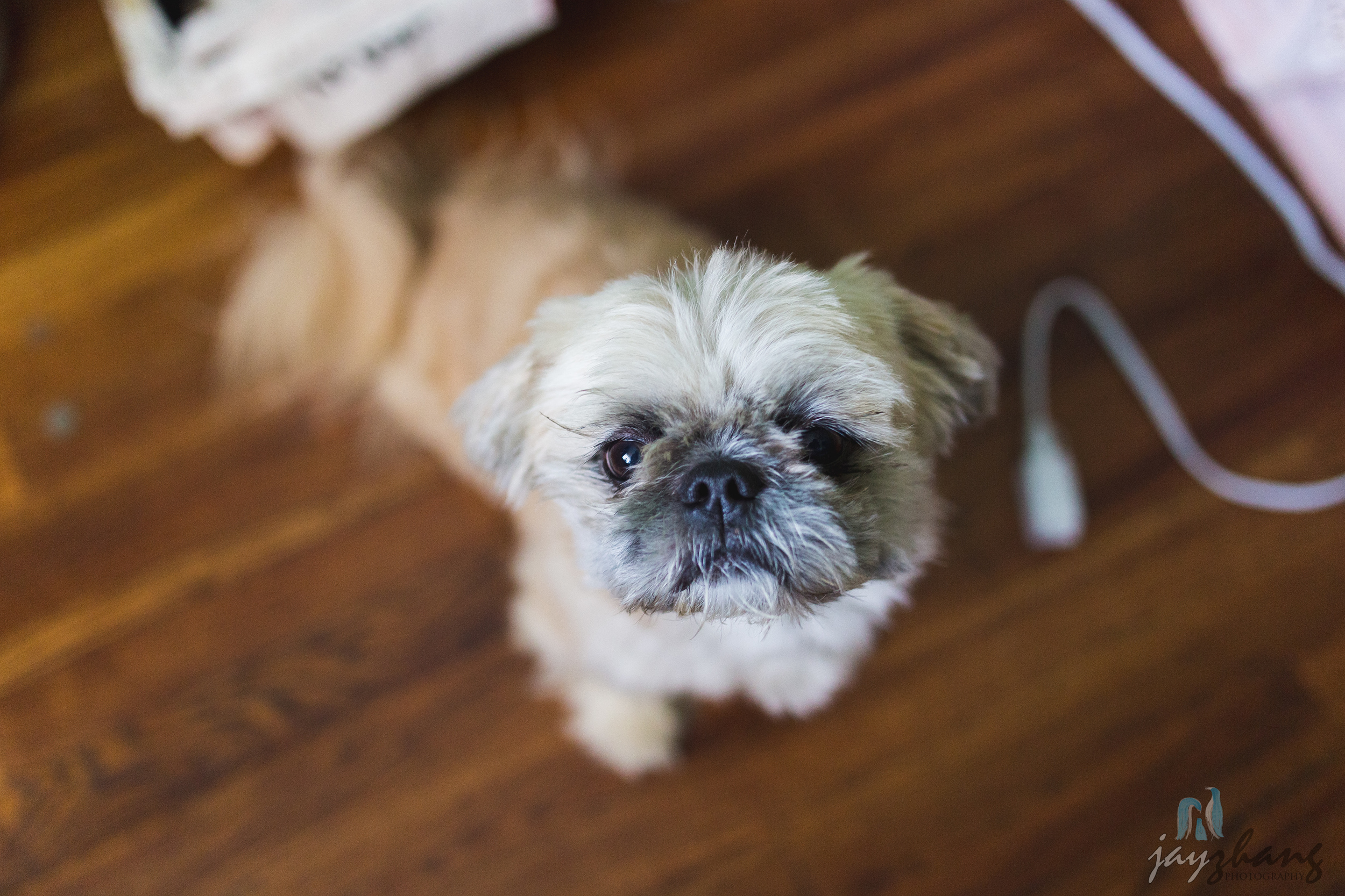 Day 197 - Chewy