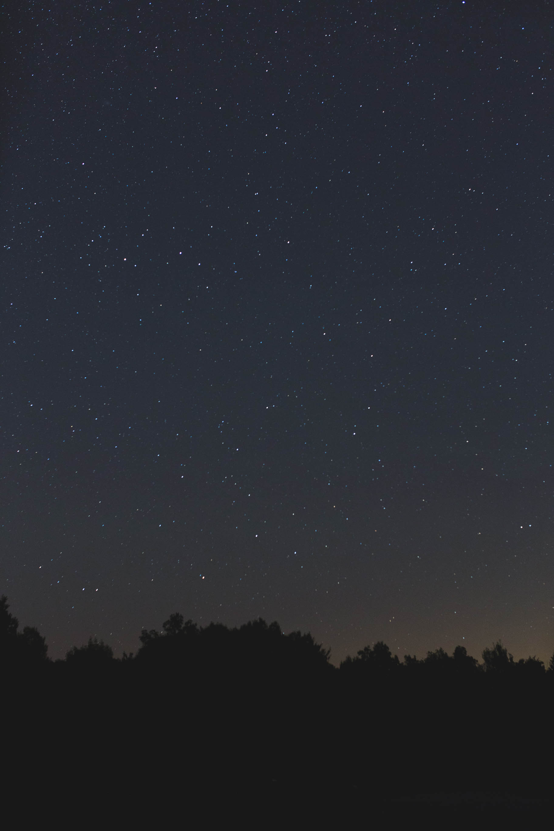 Day 233 - Night Sky