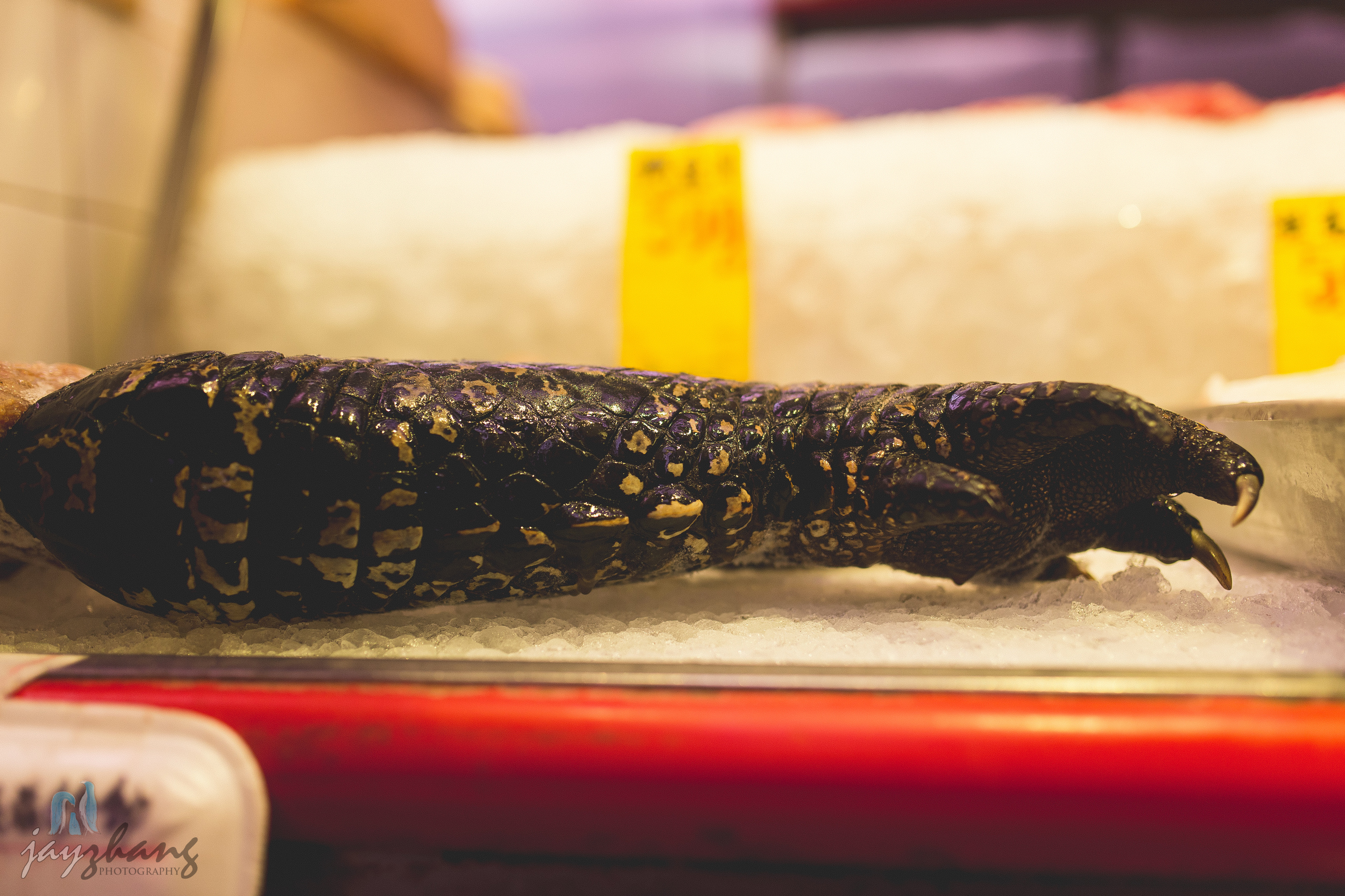 Day 257 - Chinese Markets
