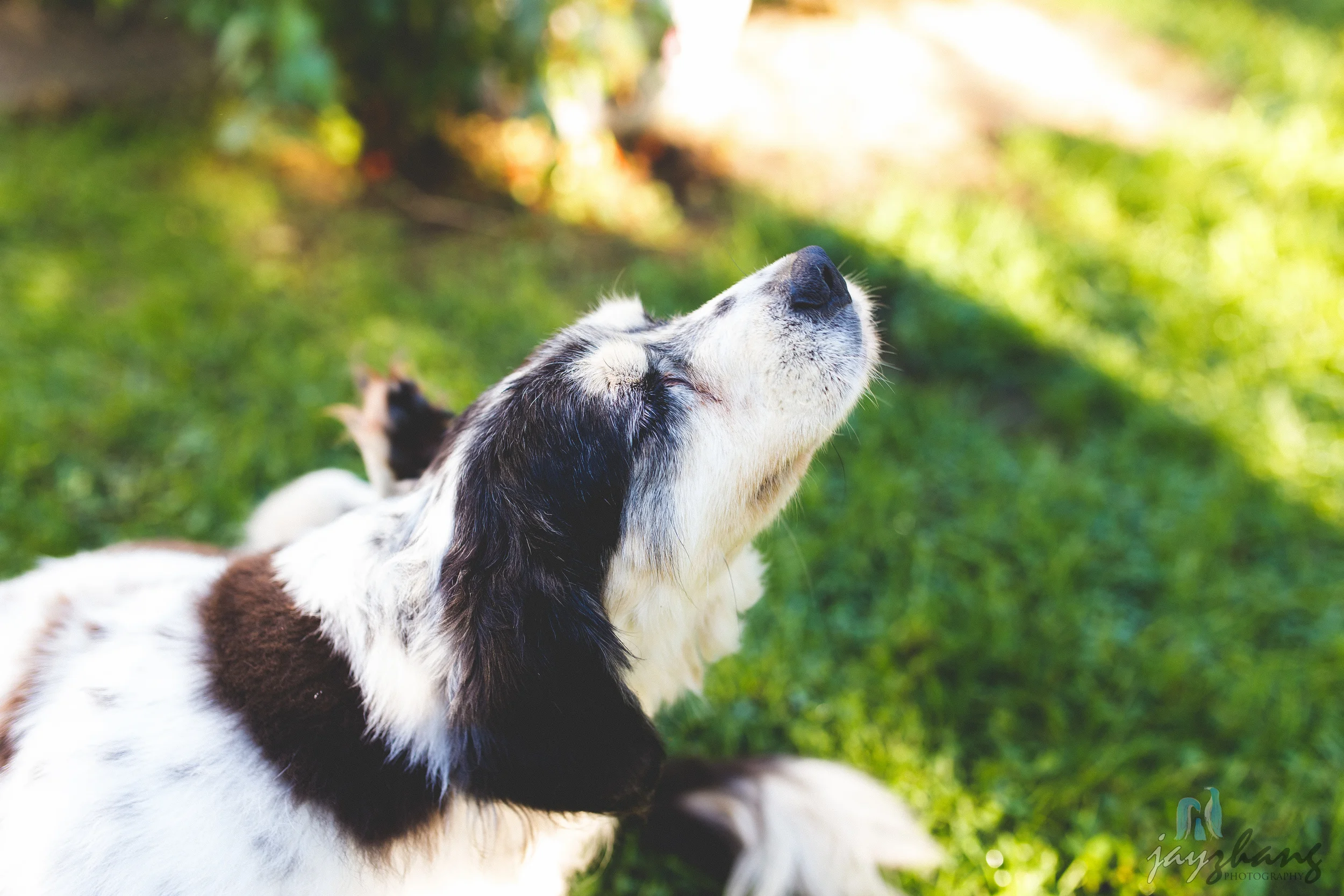 Day 258 - Morning Playtime-2.jpg