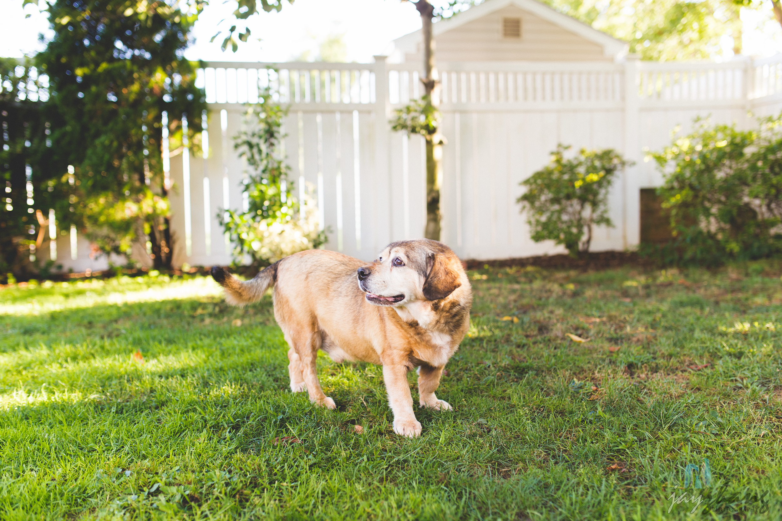 Day 258 - Morning Playtime-6.jpg