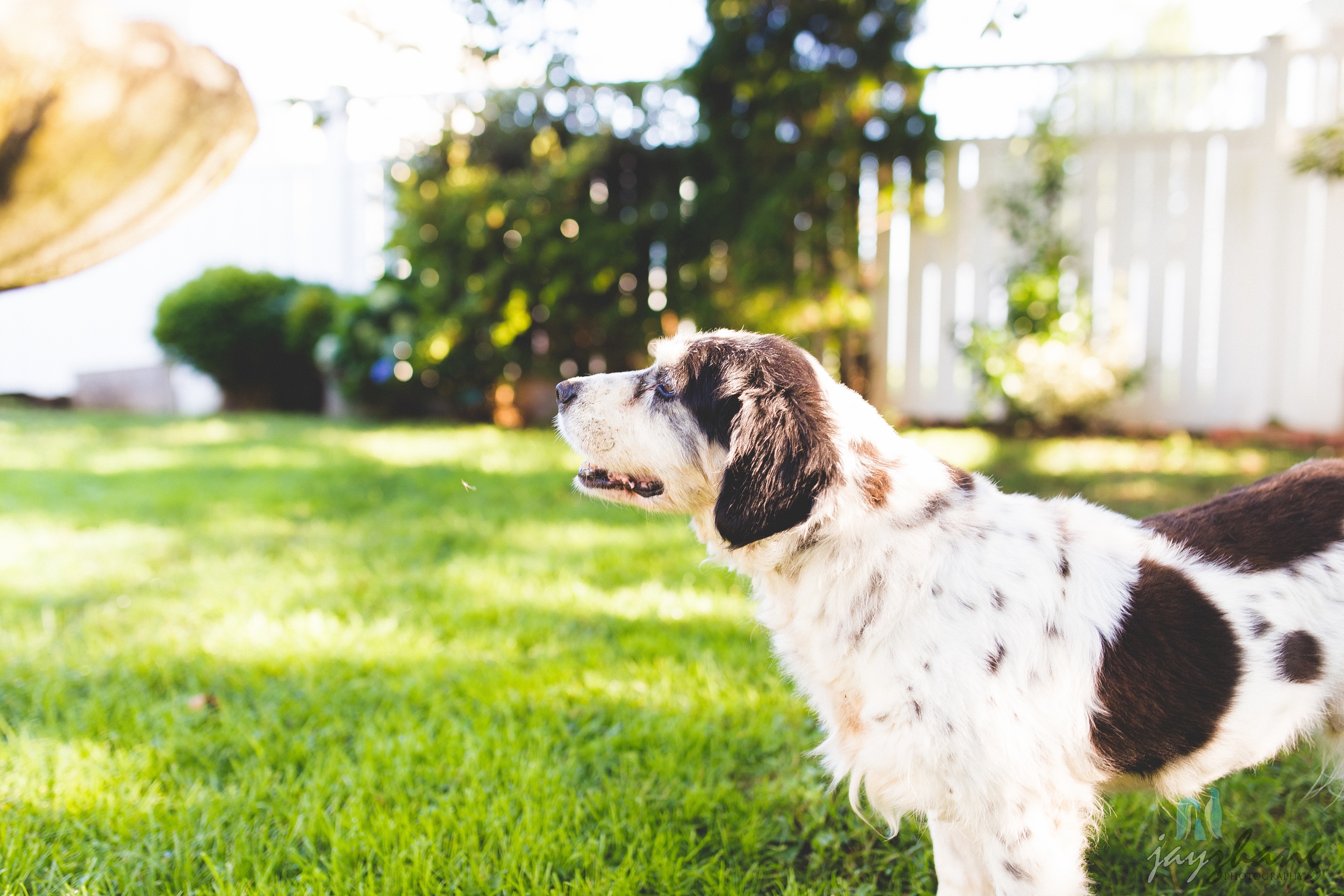 Day 258 - Morning Playtime-7.jpg