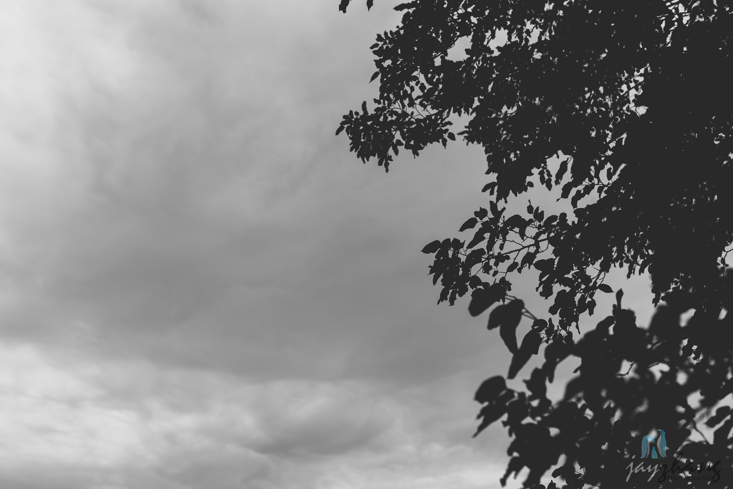 Day 276 - Cloudy Days
