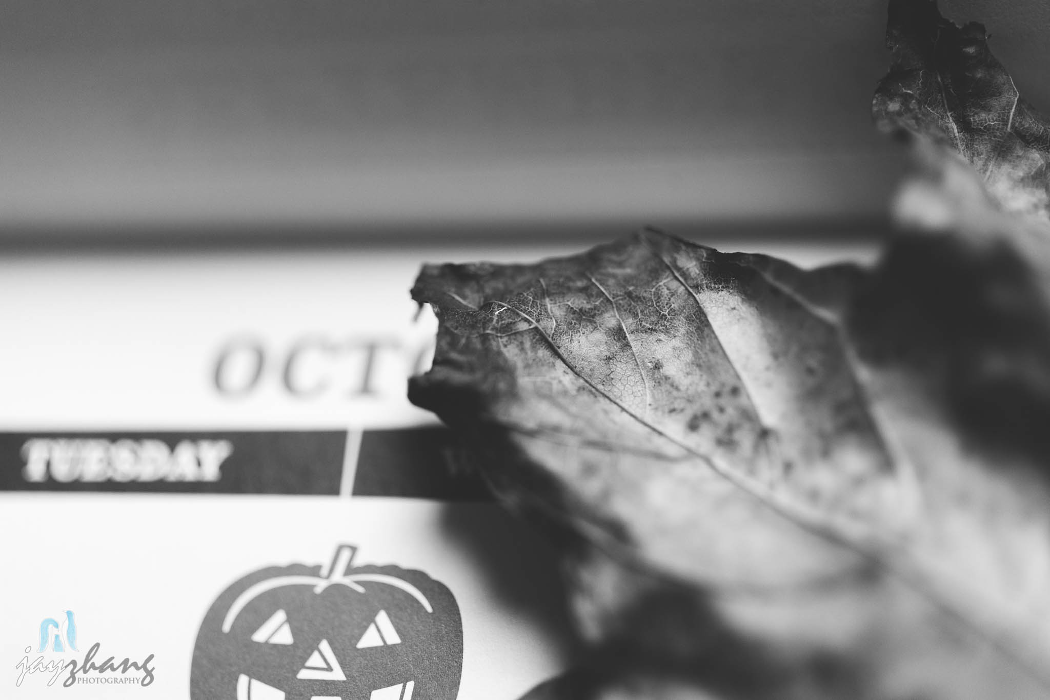 Day 285 - Spooktober