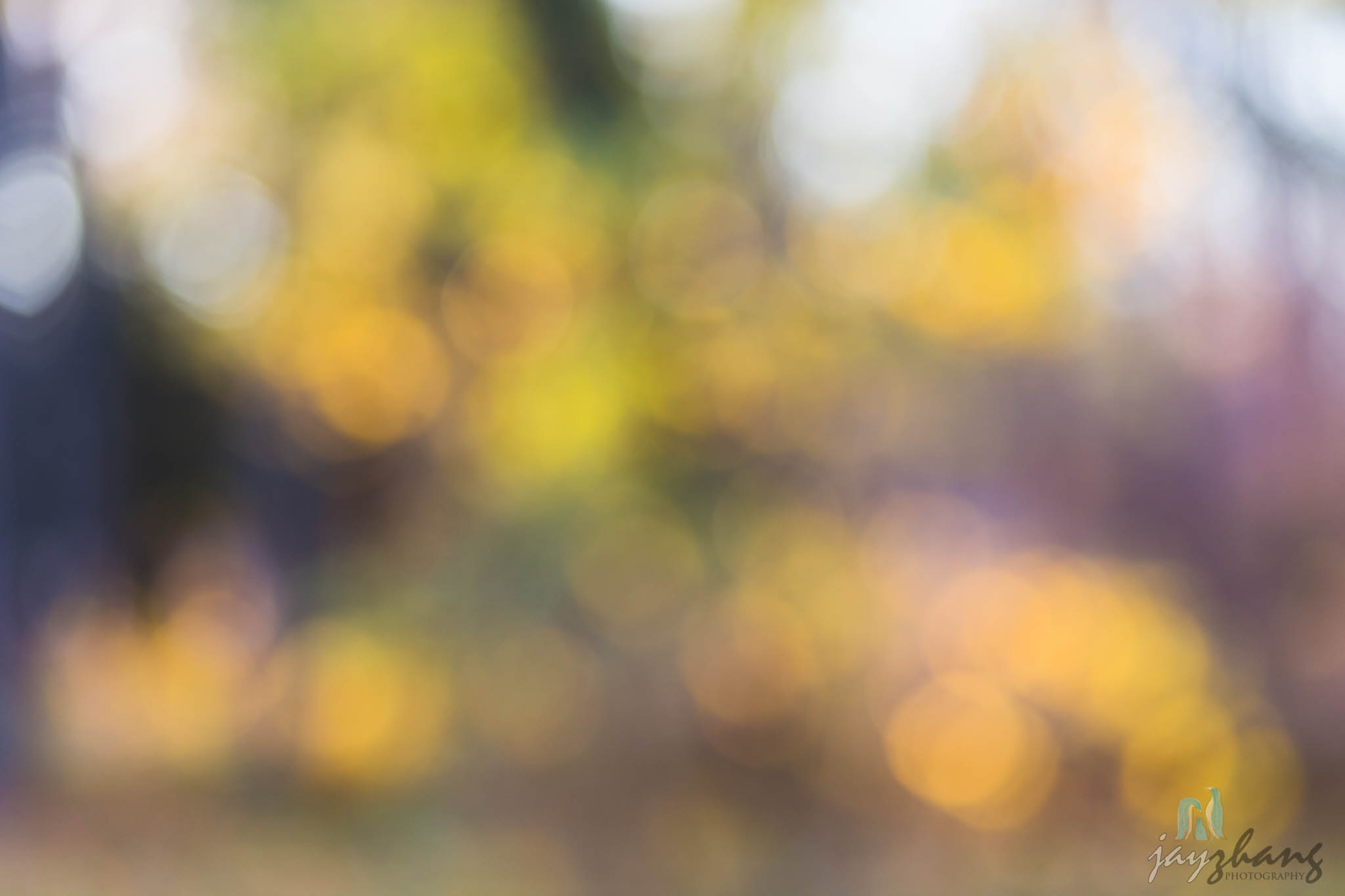 Day 322 - Simple Bokeh