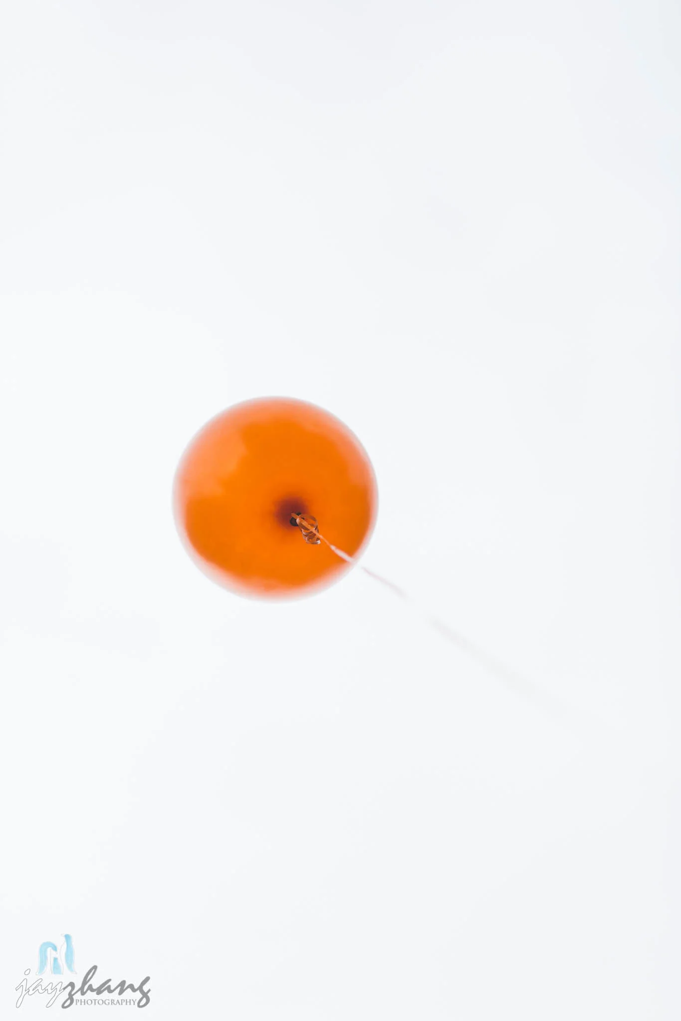 Albany Family Photographer BabyWill-15.jpg