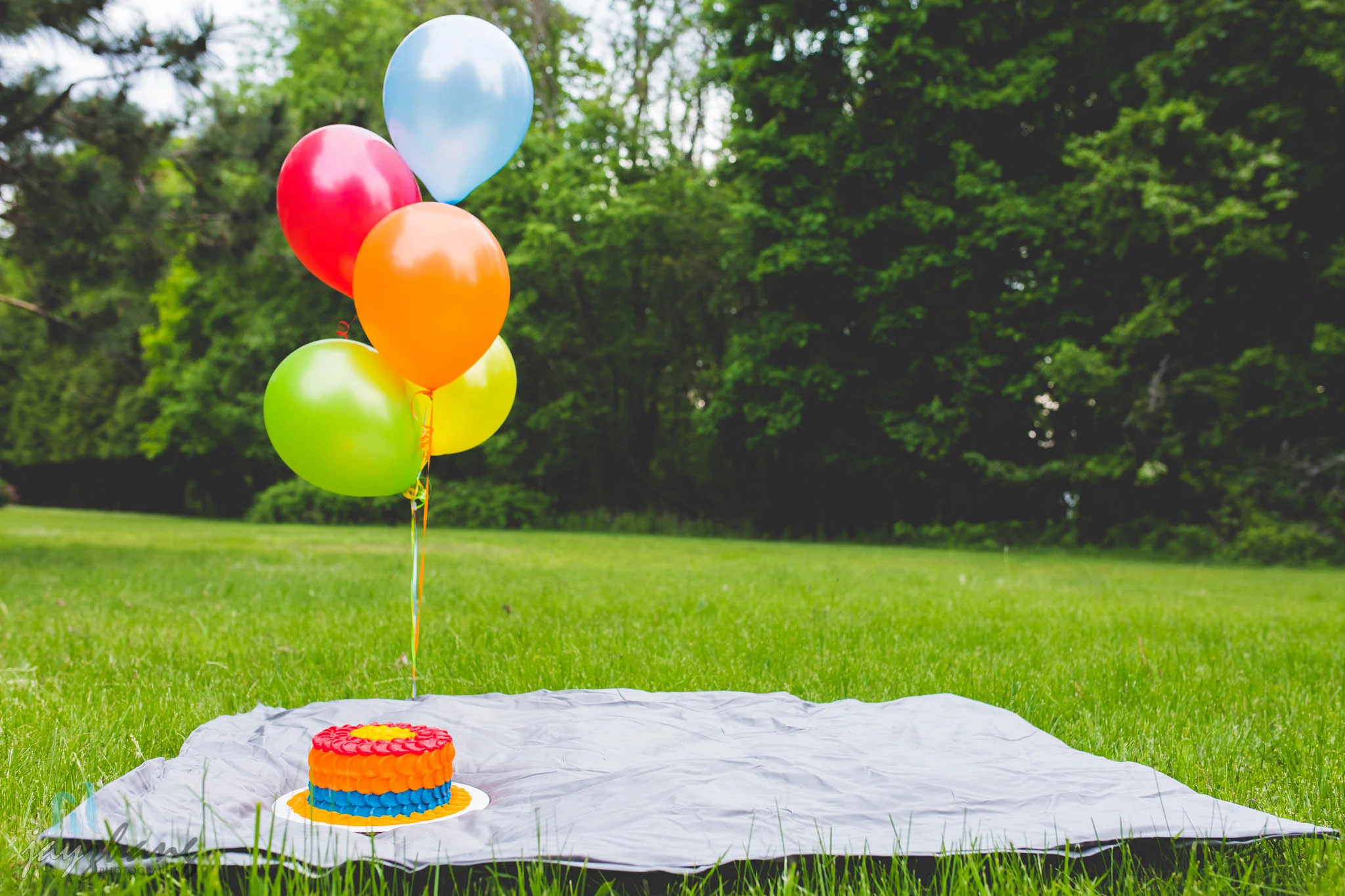 Albany Family Photographer BabyWill-26.jpg
