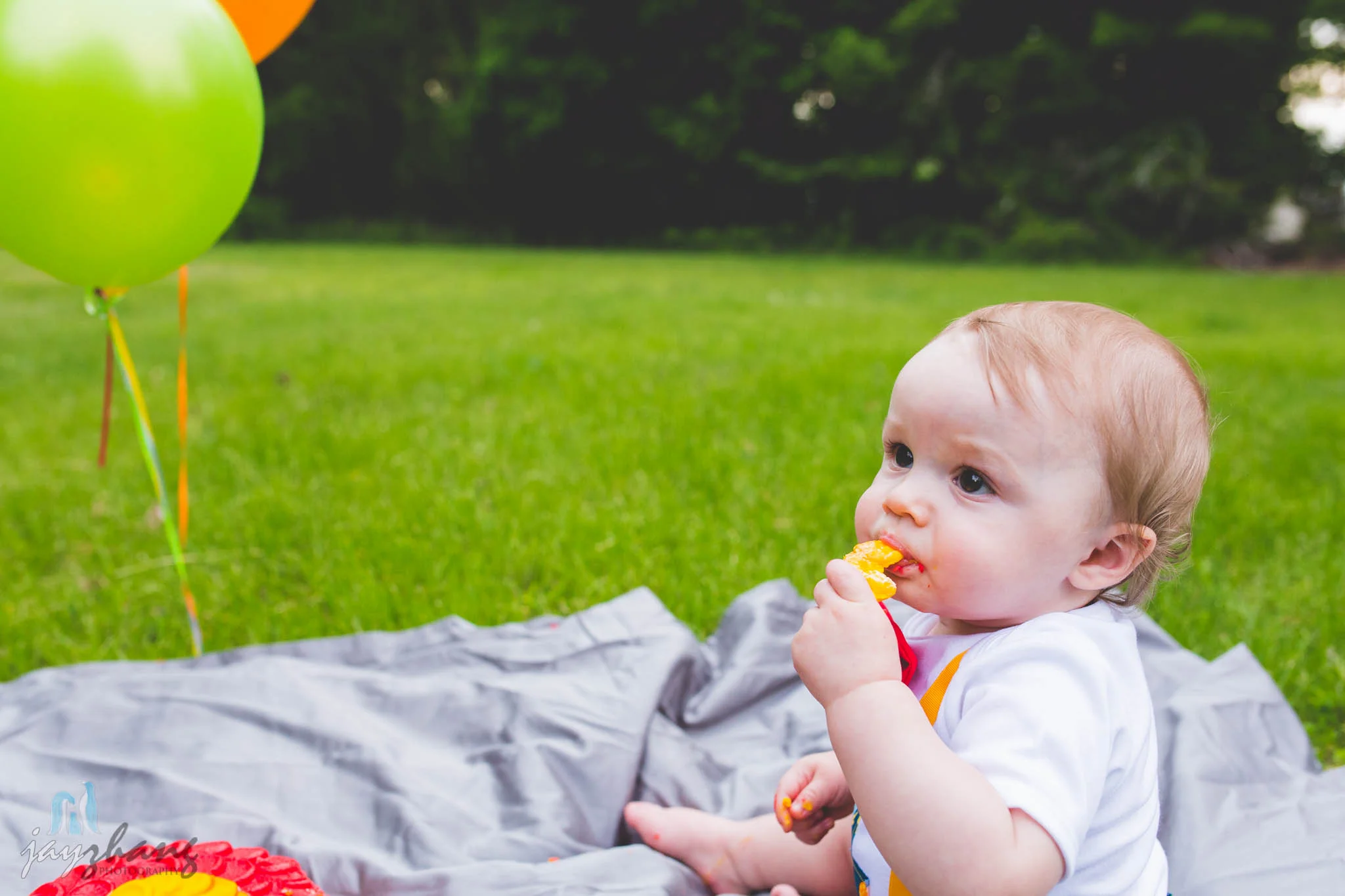 Albany Family Photographer BabyWill-30.jpg