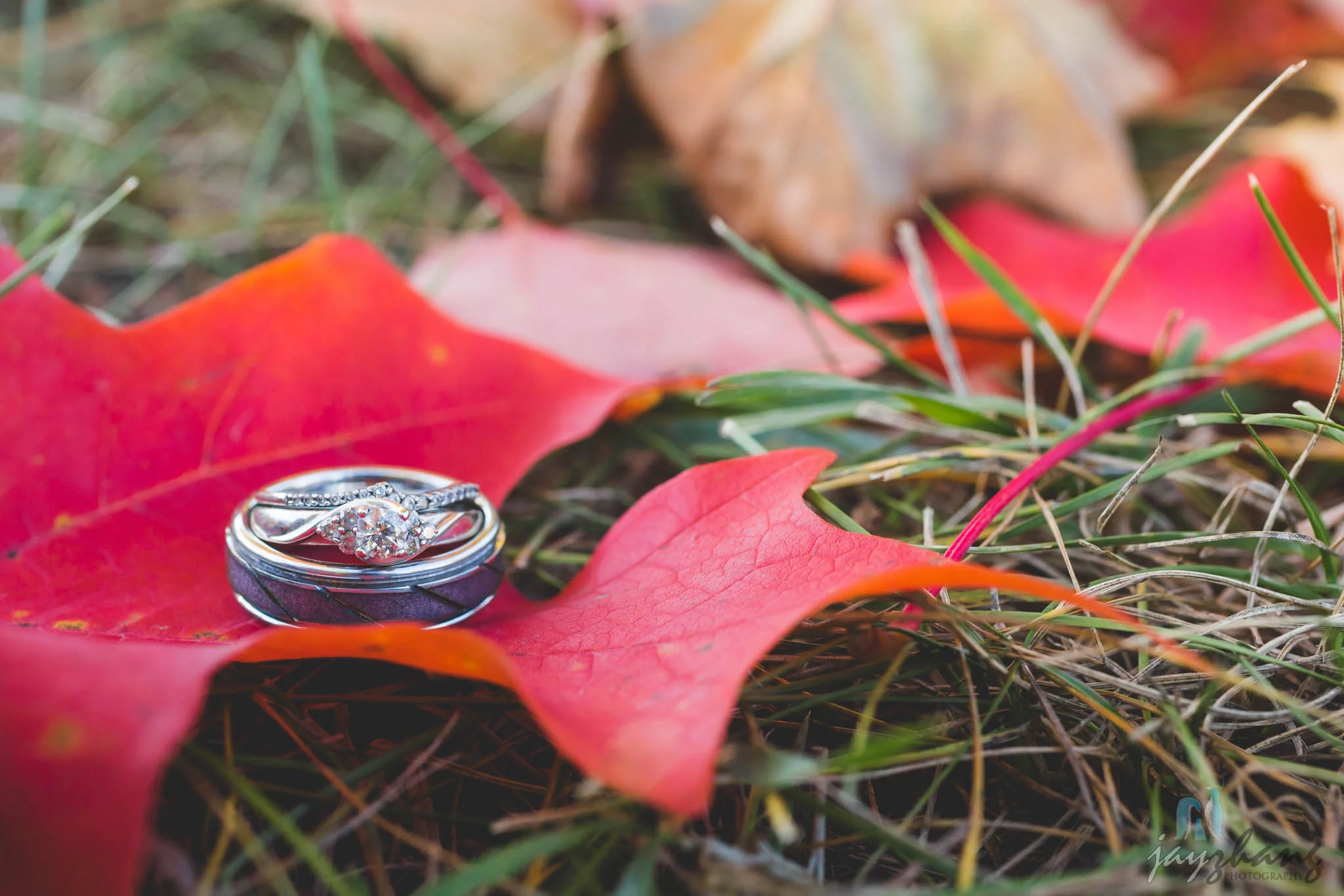 Albany_Wedding_Photographer-18.jpg