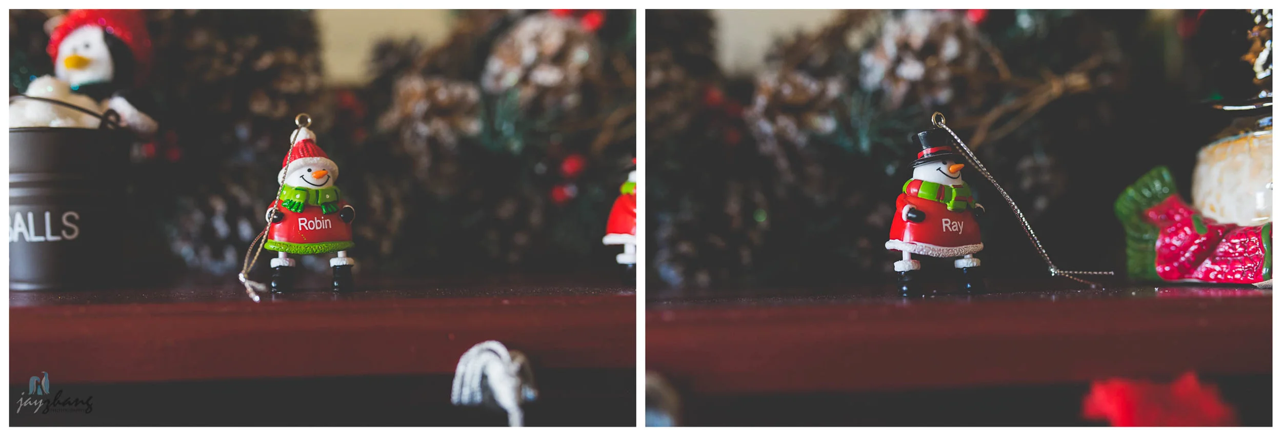 Albany_Family_Photographer-40.jpg