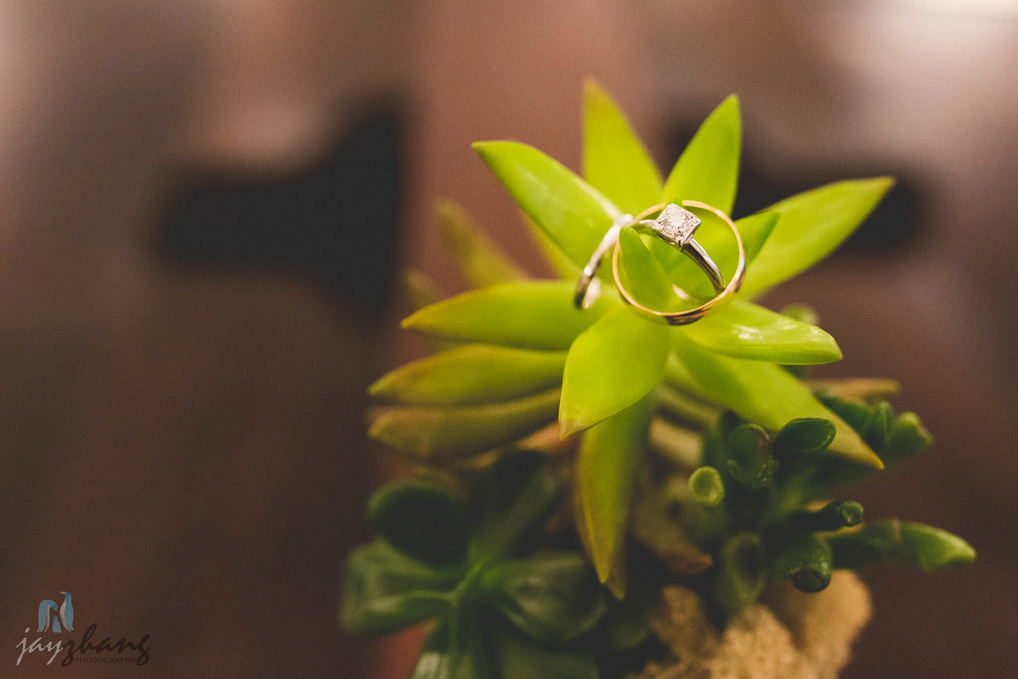 Albany_Wedding_Photographer-22.jpg