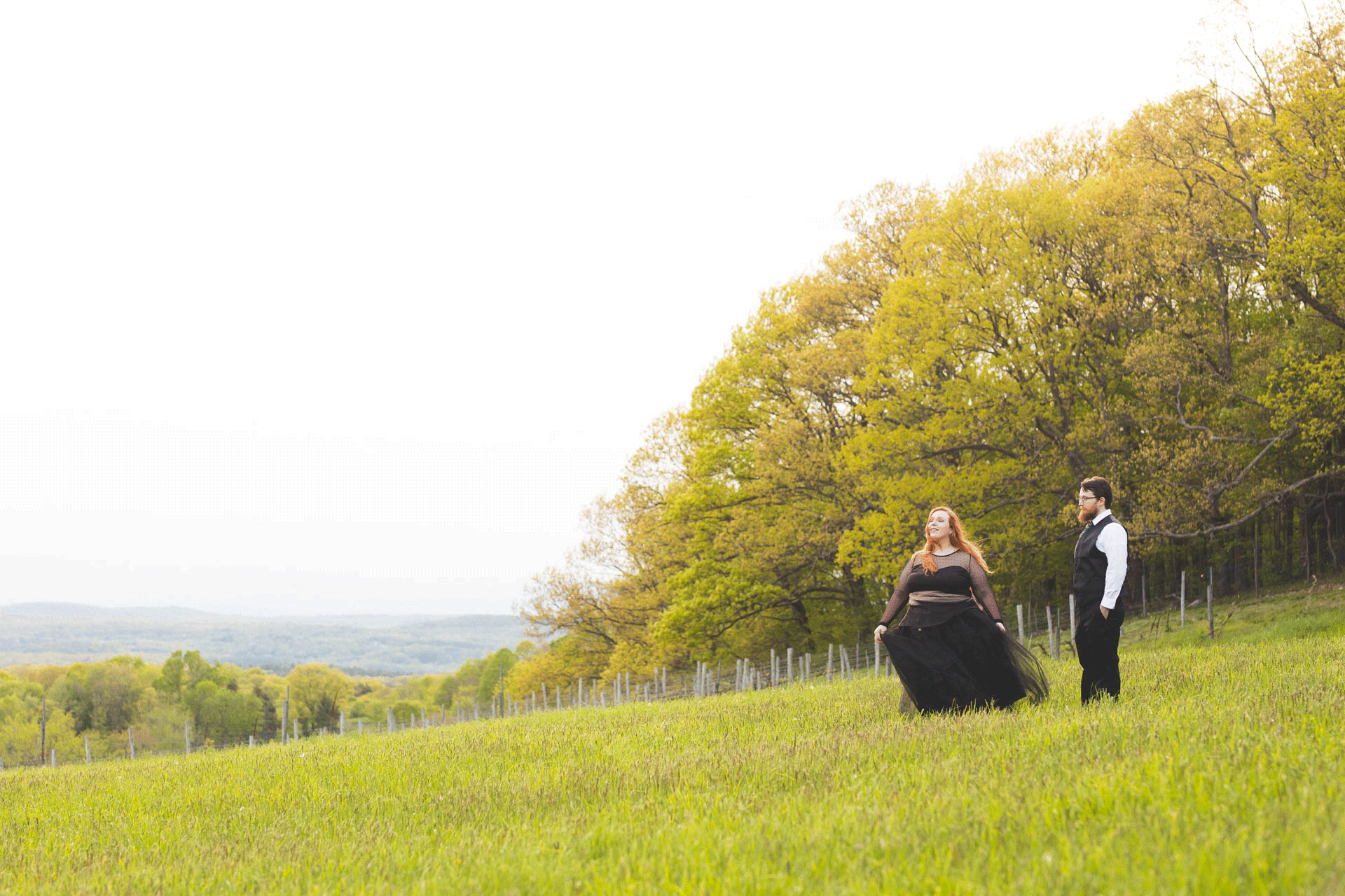 Albany_Wedding_Photographer.gif