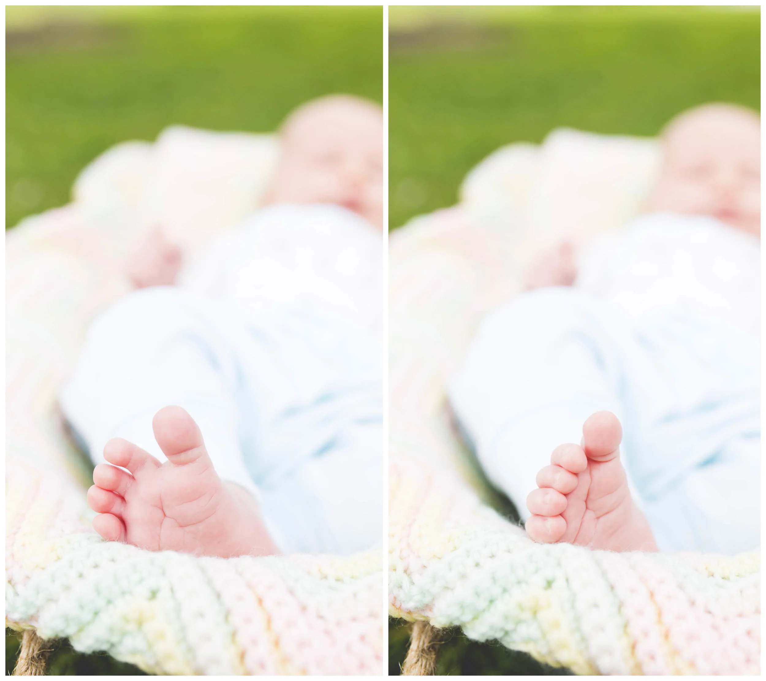 Albany-Family-Photographer-32.jpg