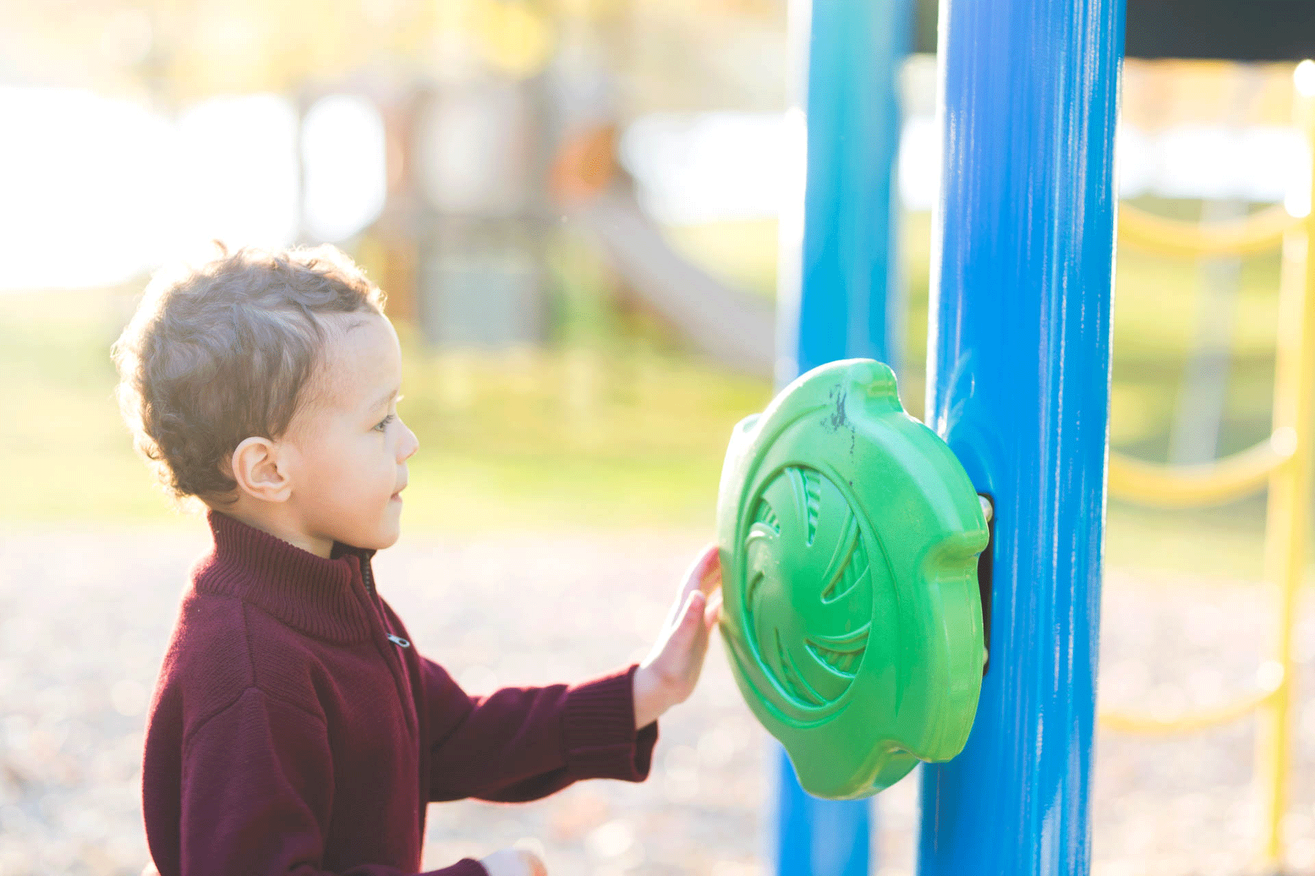 Albany_Family_Photographer-28.gif