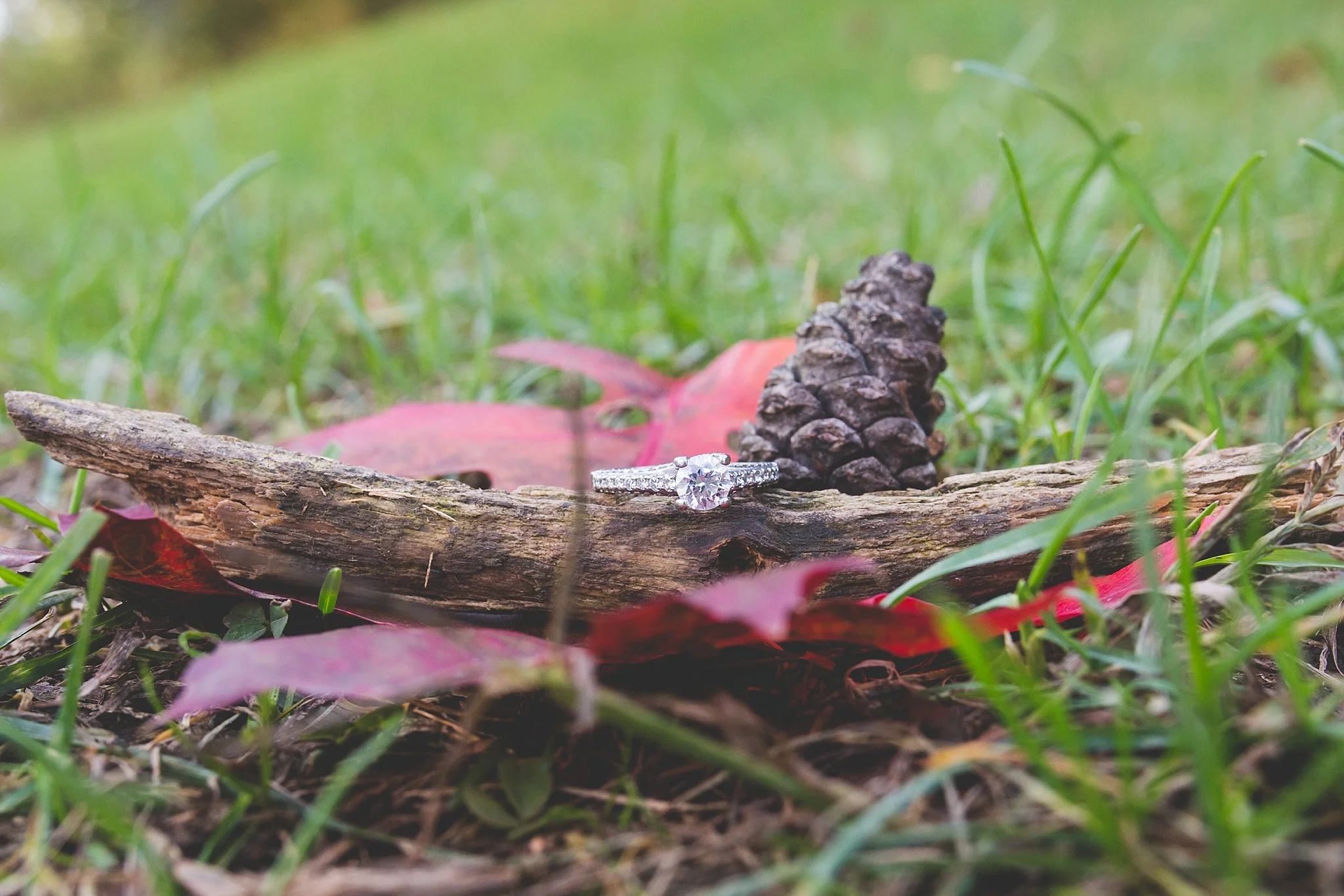 Albany_Wedding_Photographer_0835.jpg