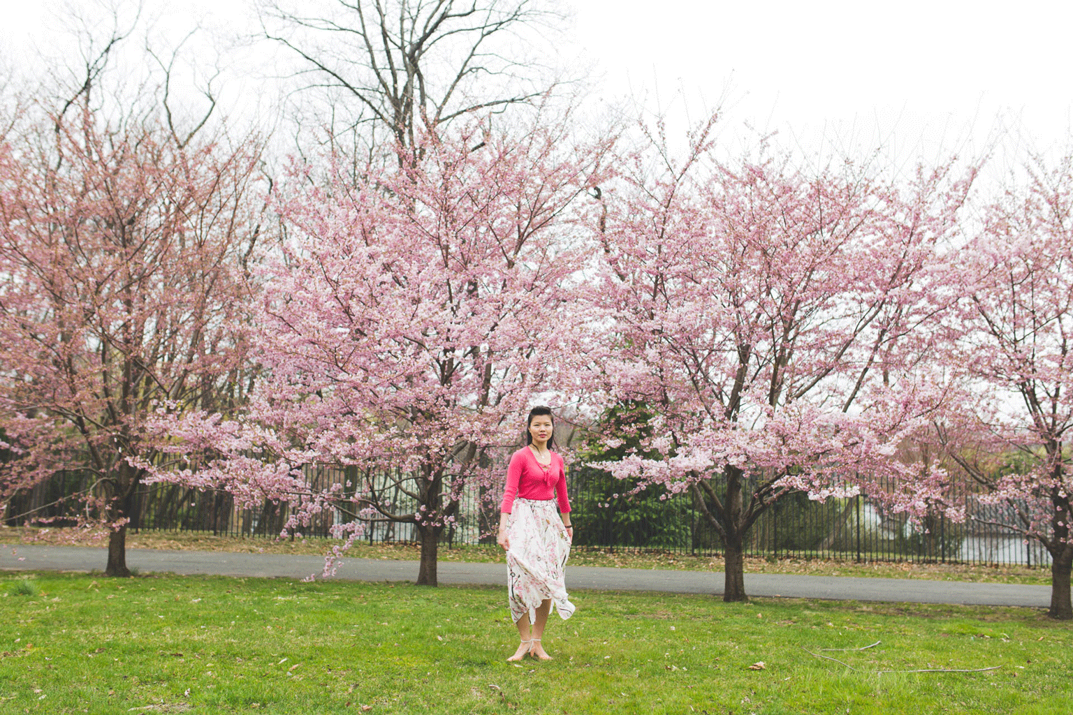 Albany_Wedding_Photographer_0482.3.gif