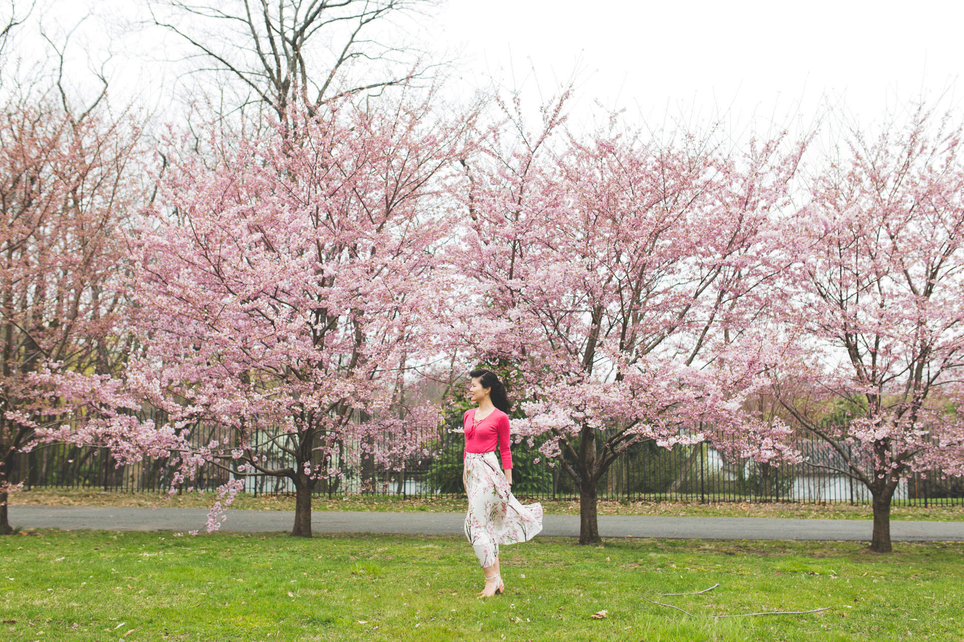 Albany_Wedding_Photographer_0482.4.gif