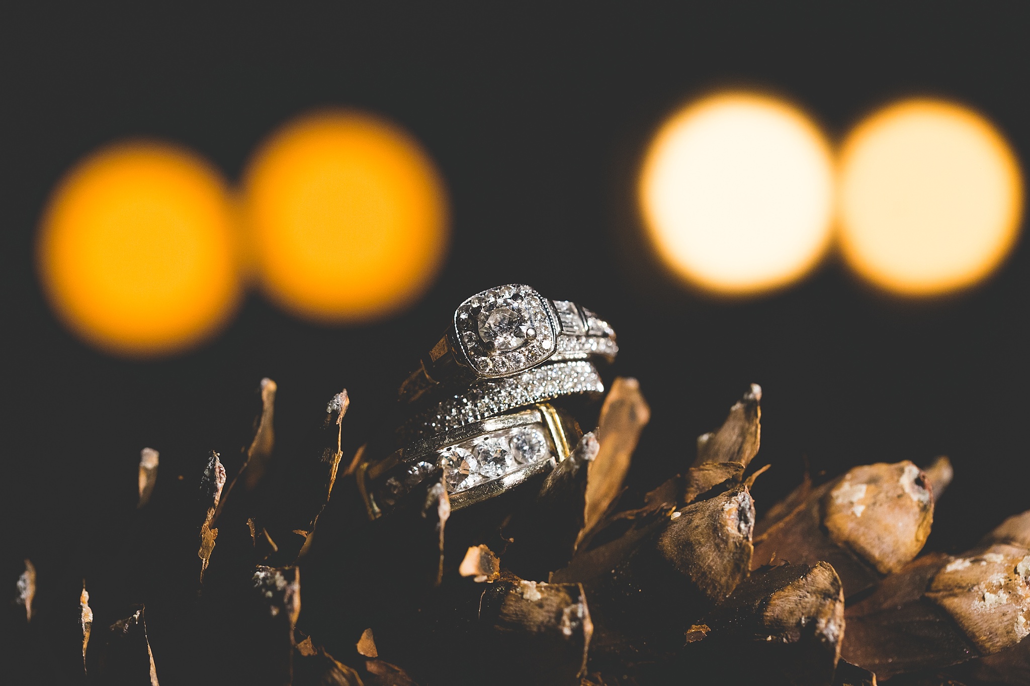 Albany_Wedding_Photographer_1684.jpg