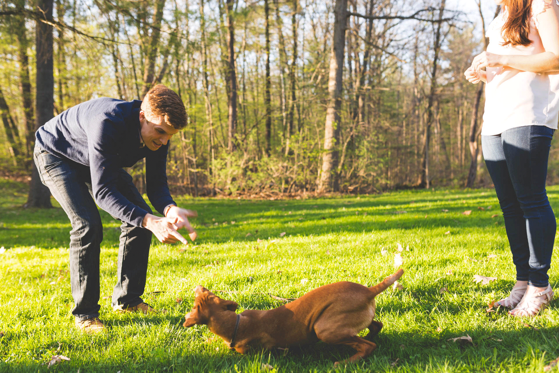 Albany_Wedding_Photographer_8743.1.gif