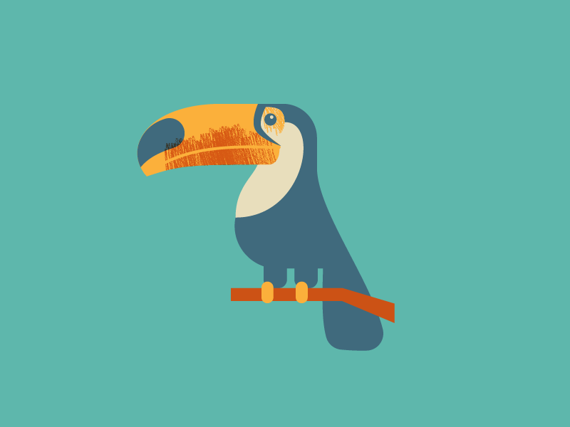 Toucan-brazil-01.png