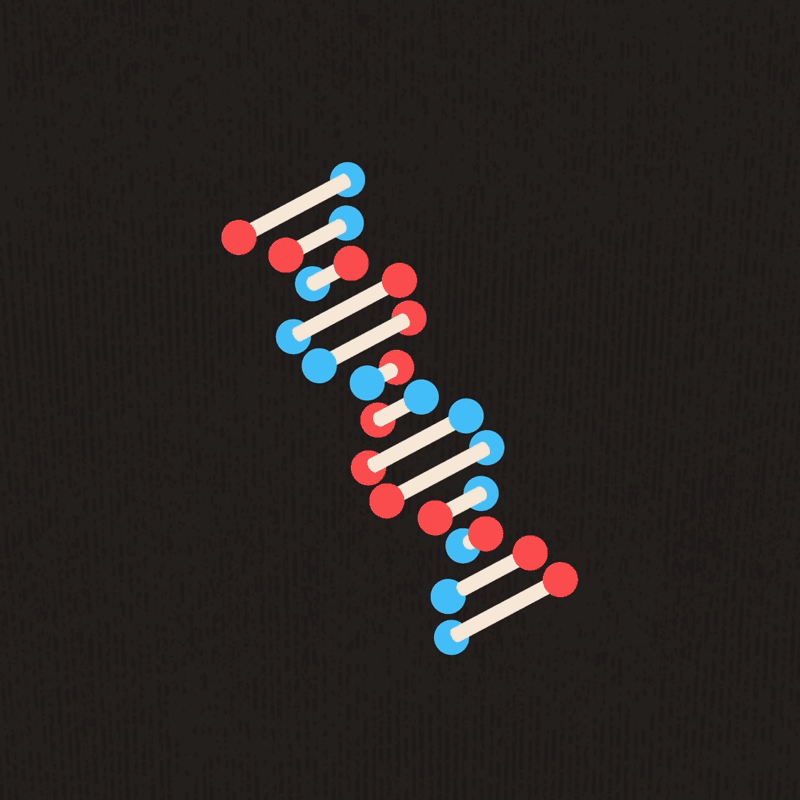 DNA-1base-pair-3.gif
