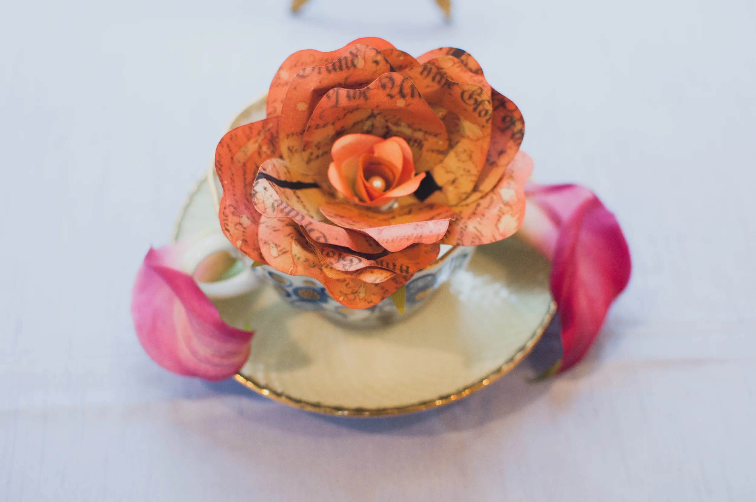 CBE-Audra051814-017.jpg