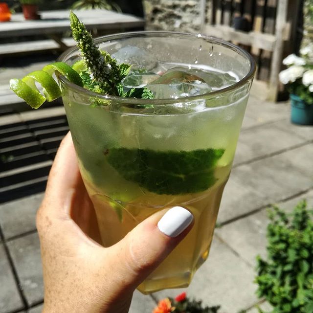 🌴 Ginger Beer Mojito 🌴 #nonalcoholic #cocktail made using our #BlackCastleDrinks #gingerbeer, fresh lime, mint and plenty of ice! Perfection 👌☀🌺