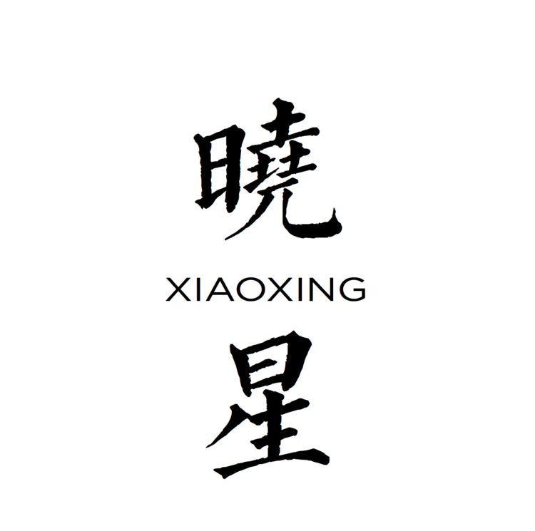 Xiaoxing 制造
