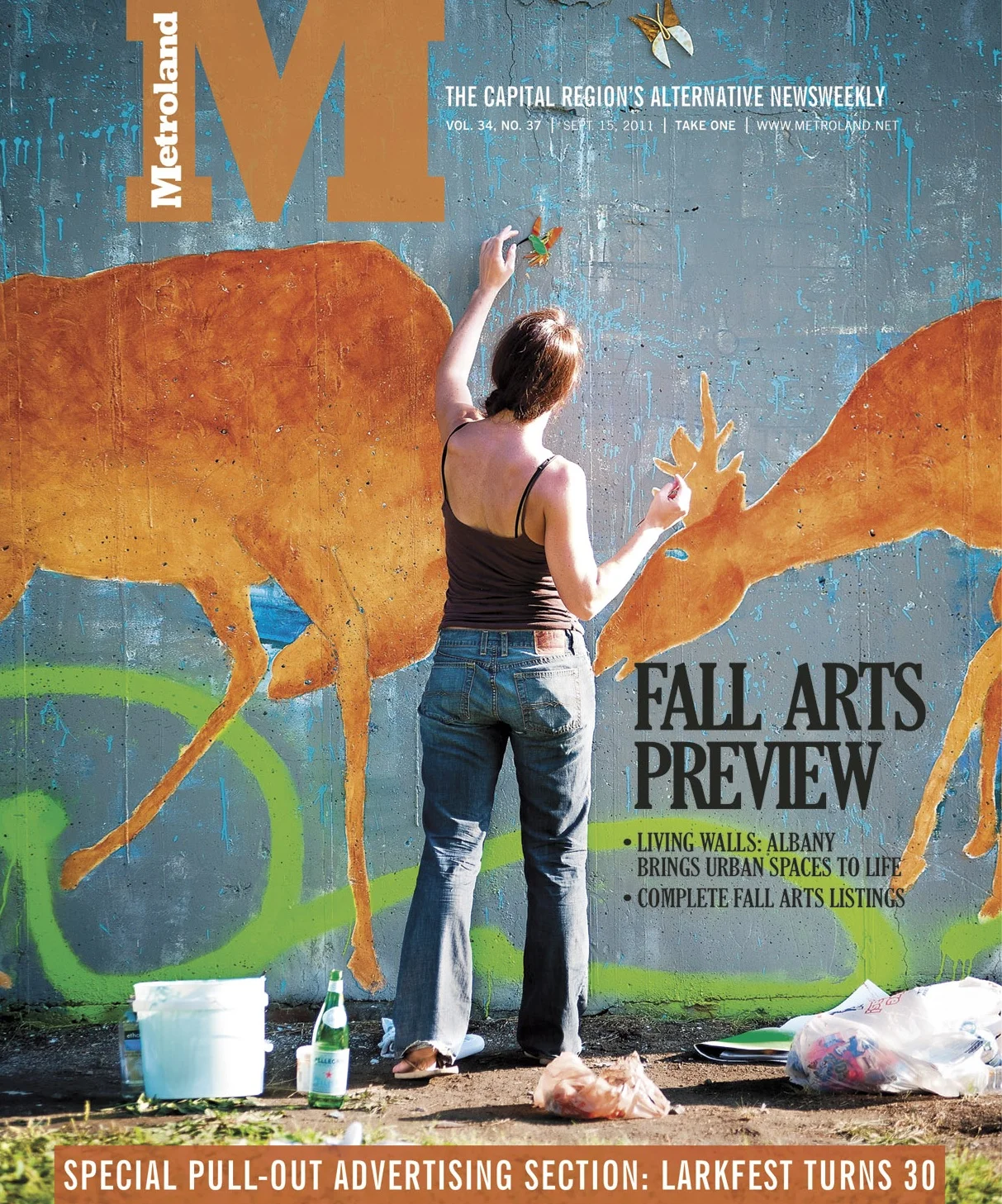Living Walls: Albany