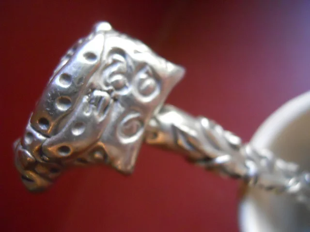 DSCN0938.JPG