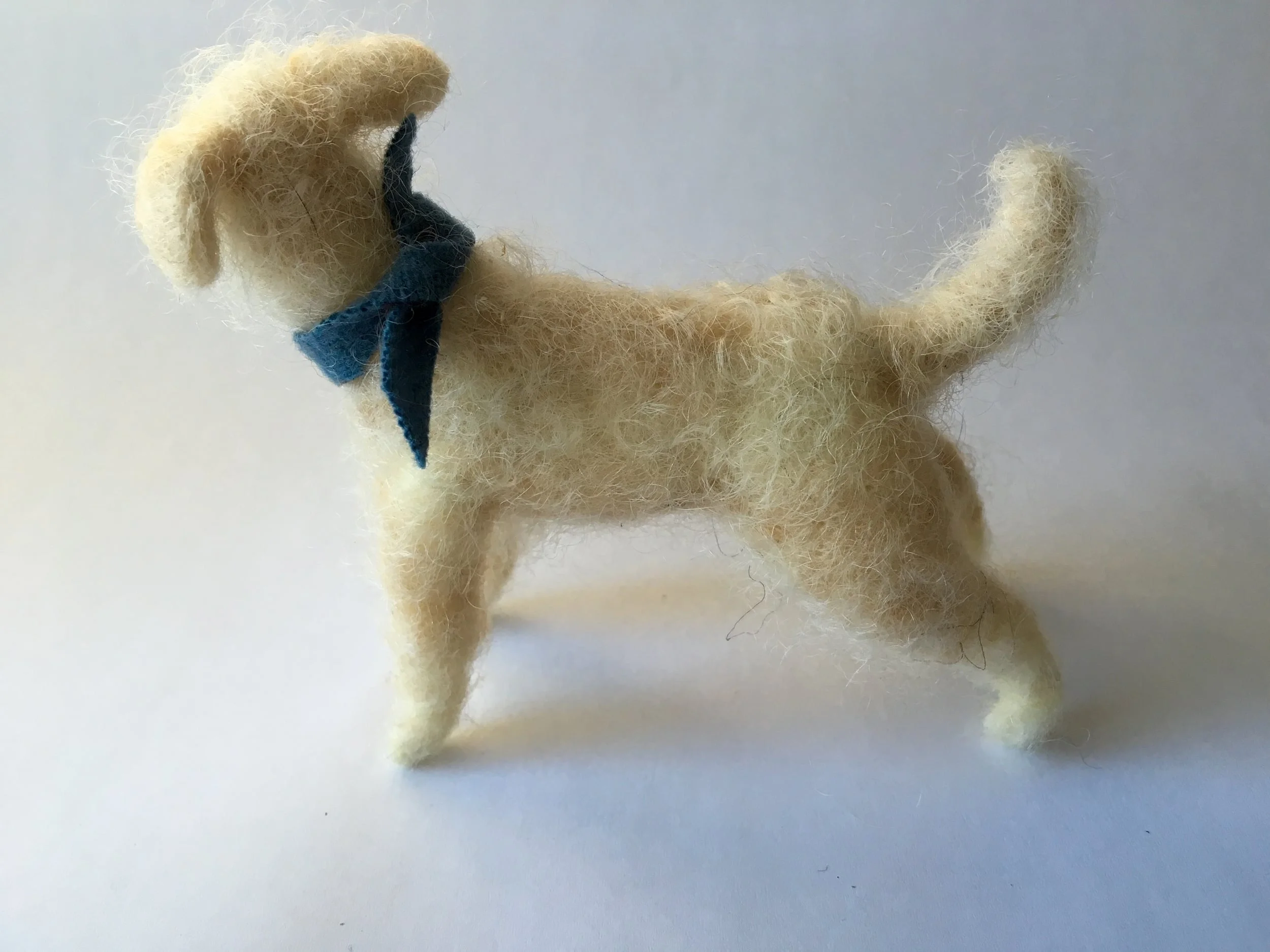 Labradoodle #1c.jpg