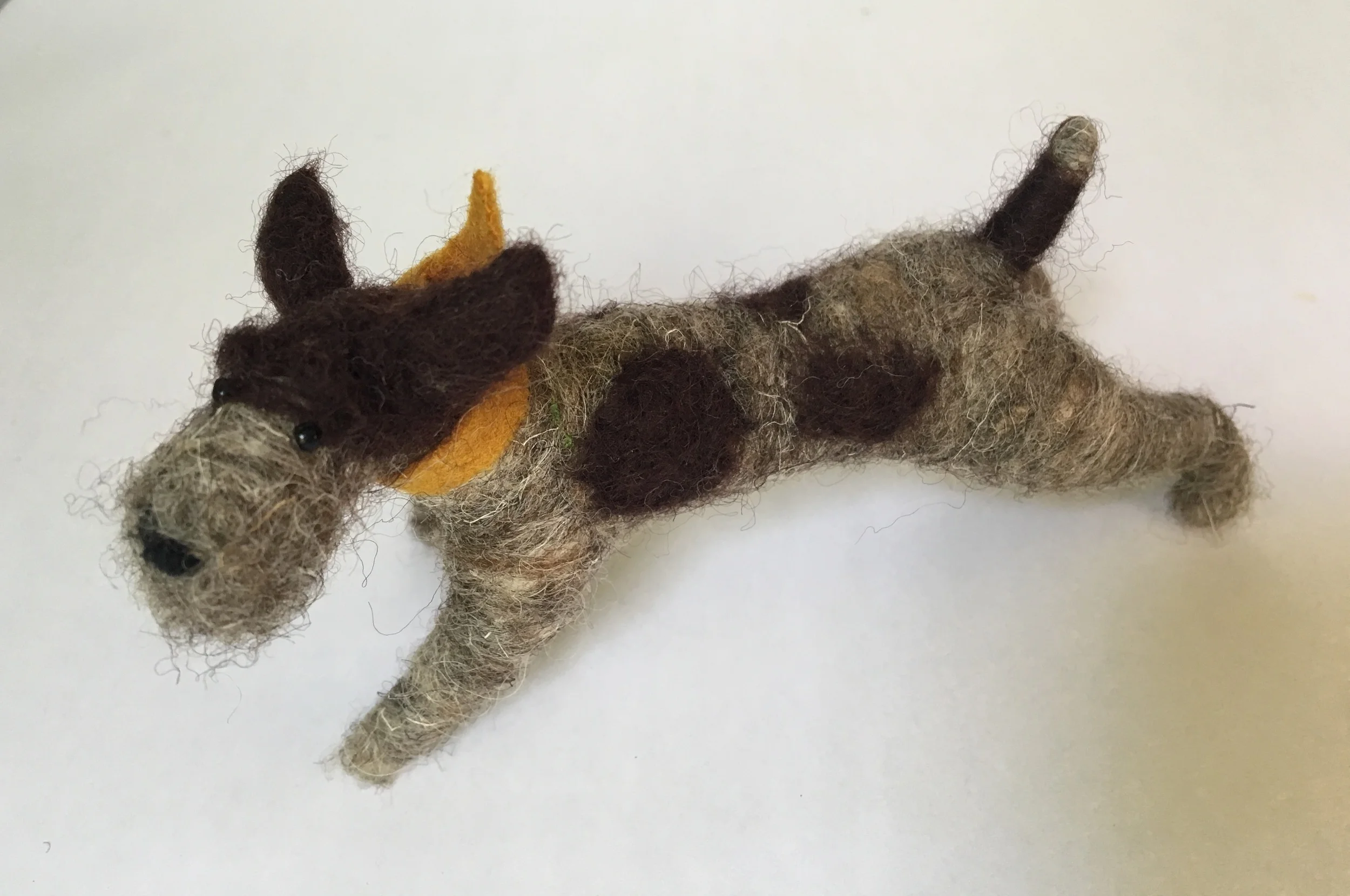 Pointer wire haired 1a.jpg