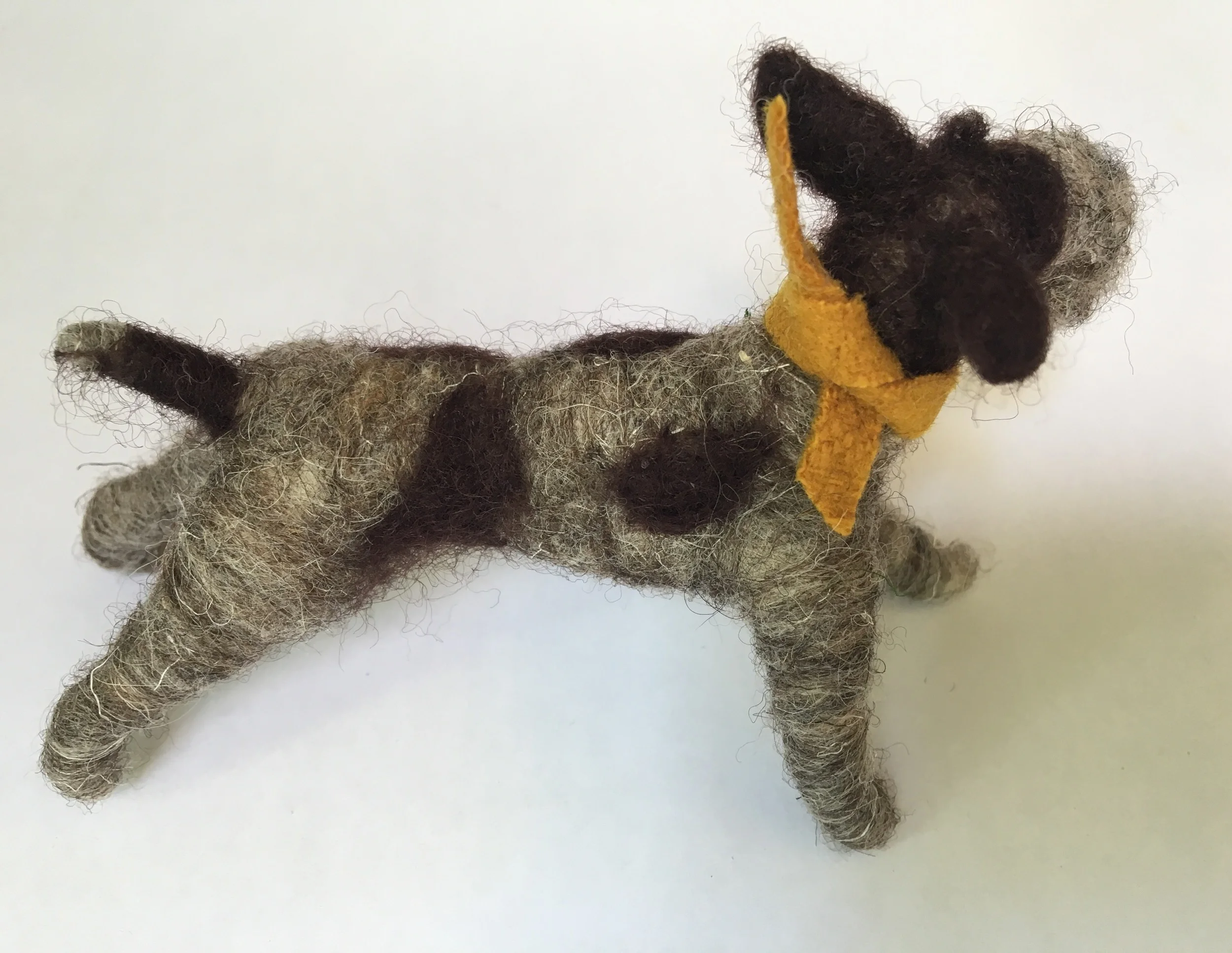 Pointer wire haired 1e.jpg
