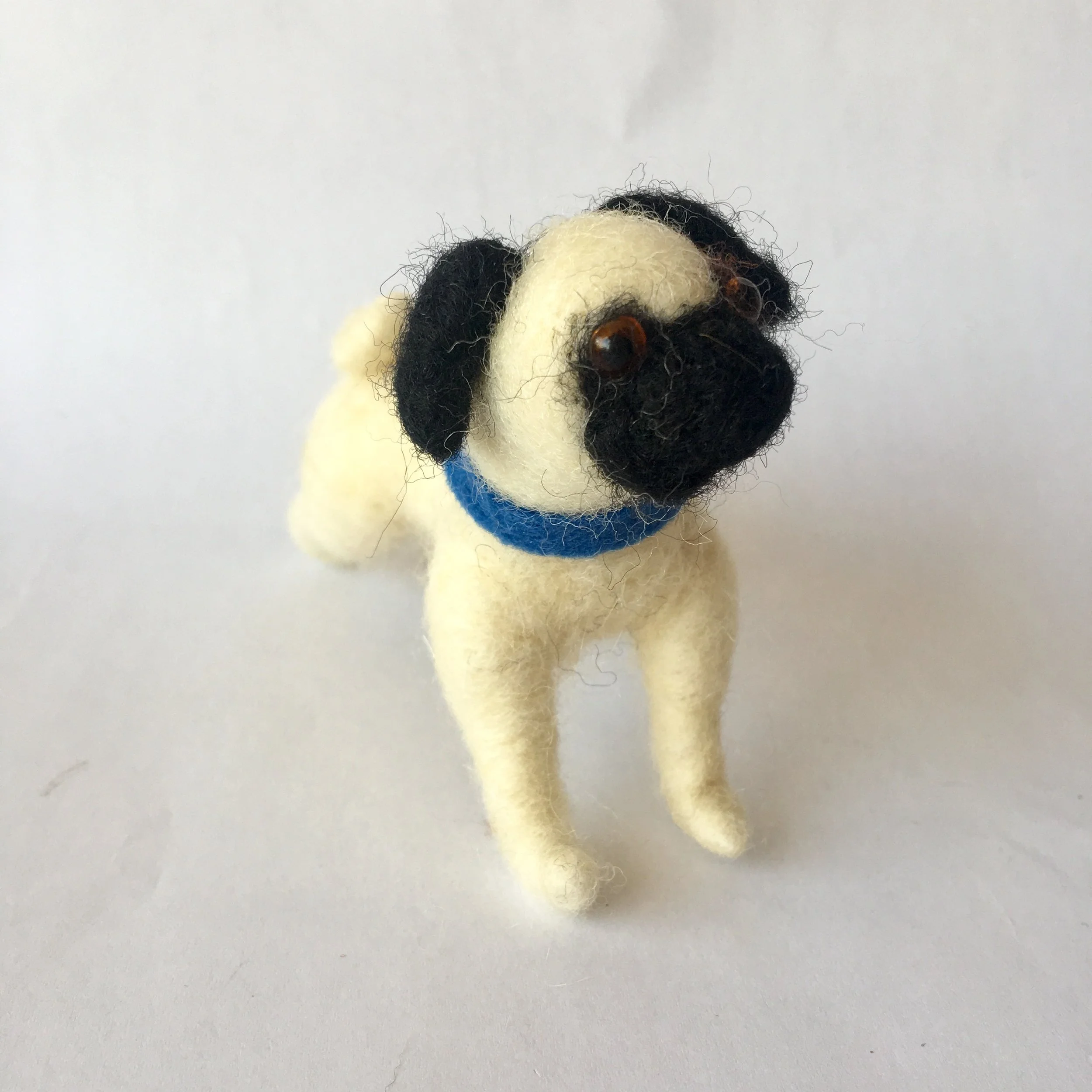 pug 1b.jpg