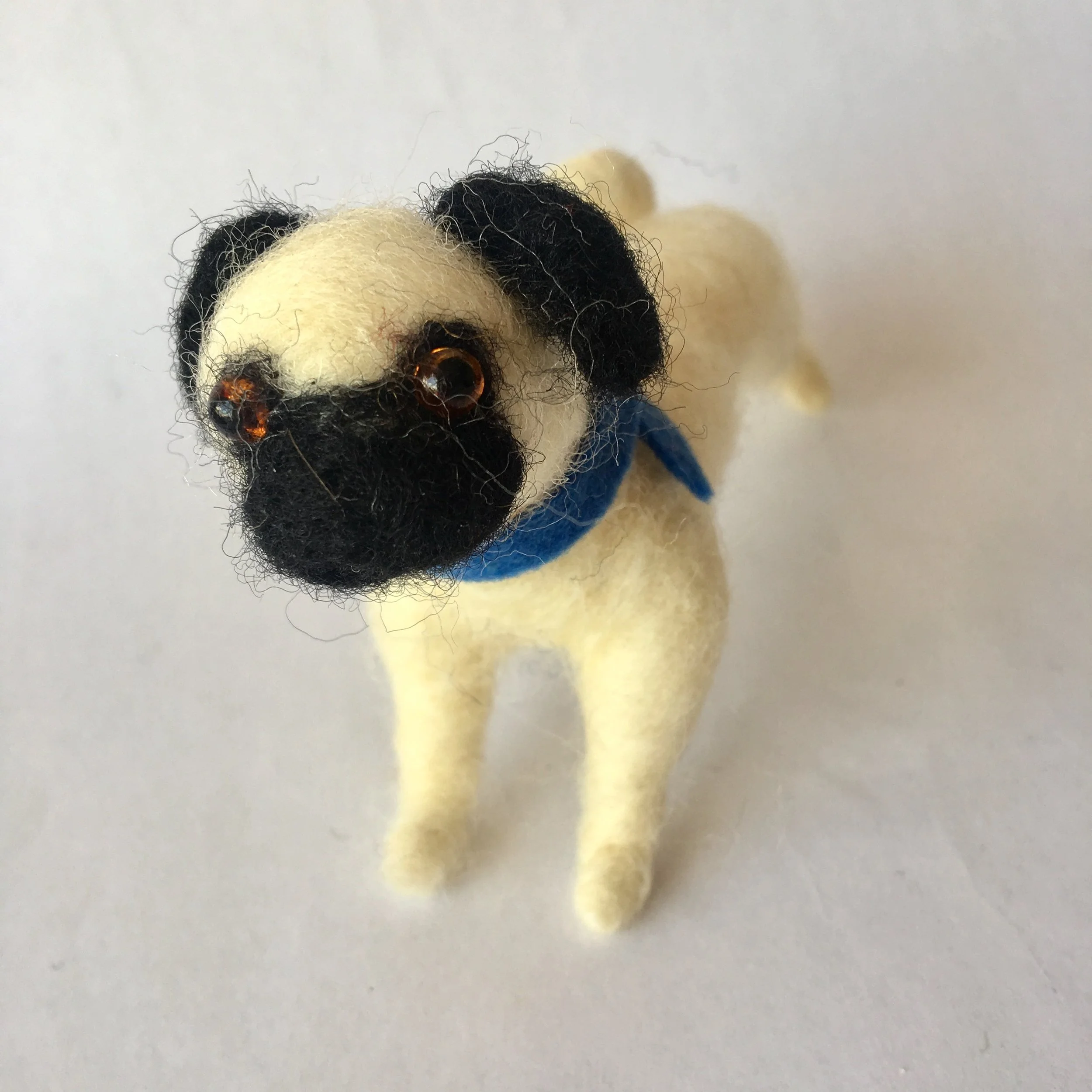 pug 1f.jpg