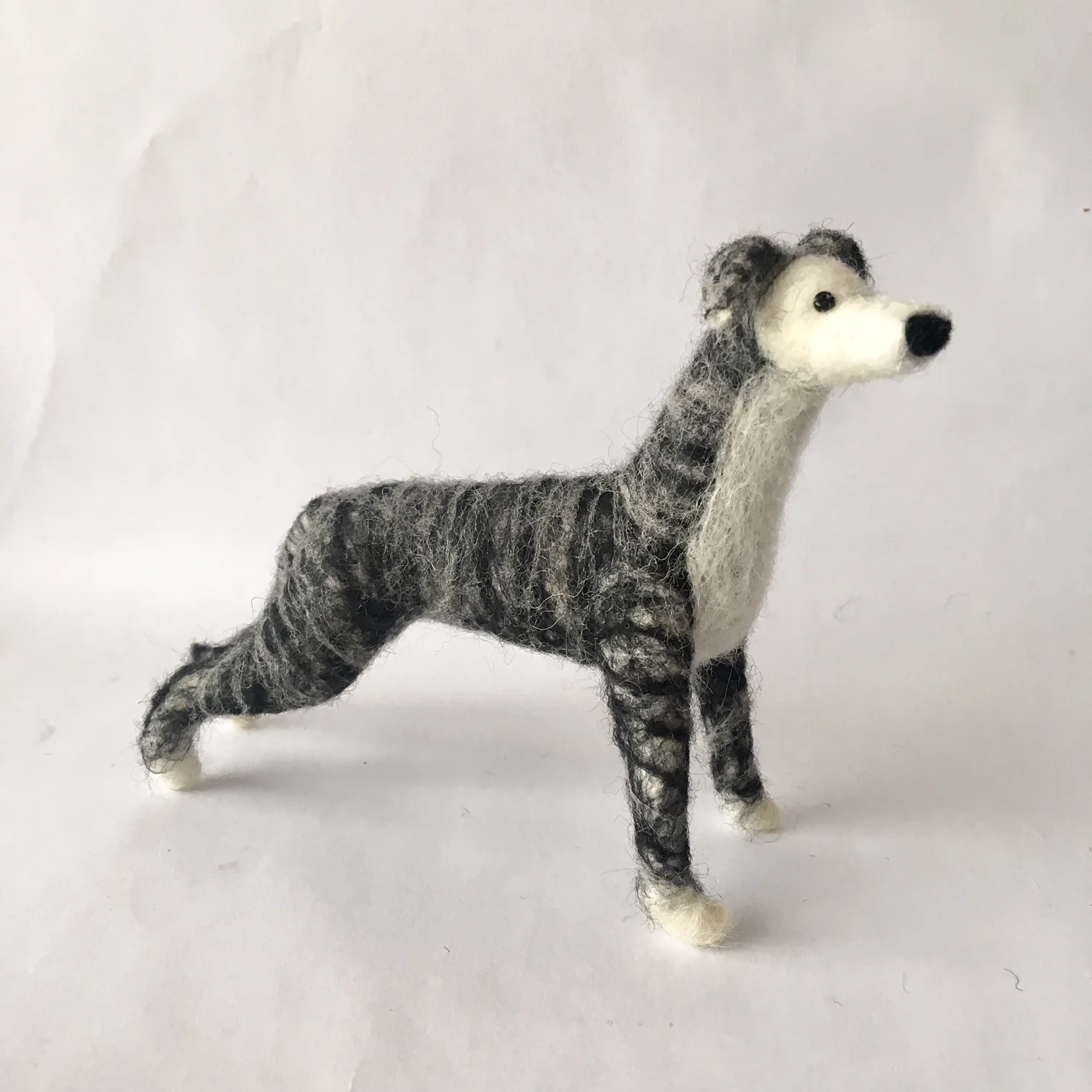 whippet black and white 1a.jpg