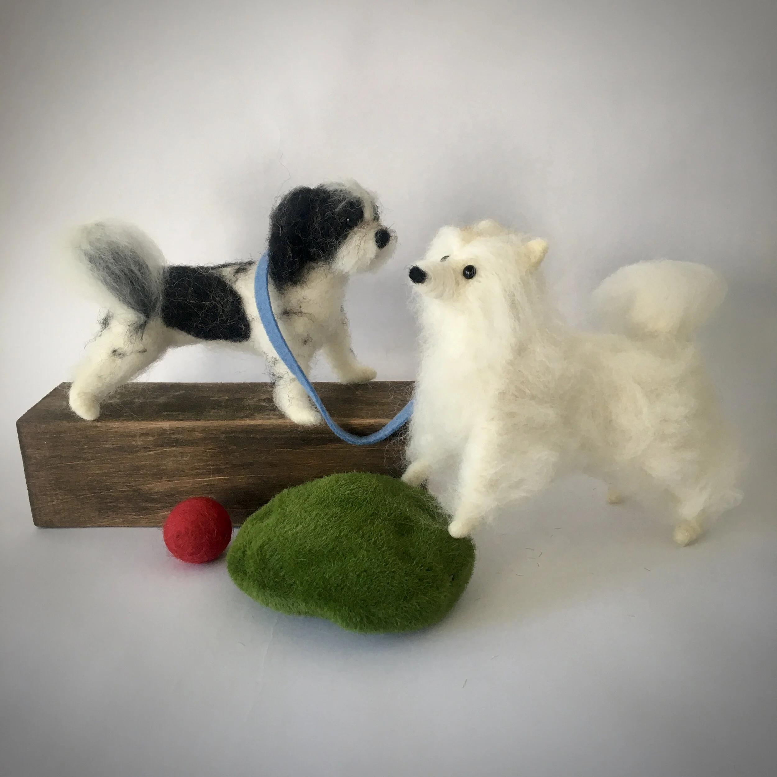 00BCC42B-32AF-40B5-8F4A-BA36B0E796AD