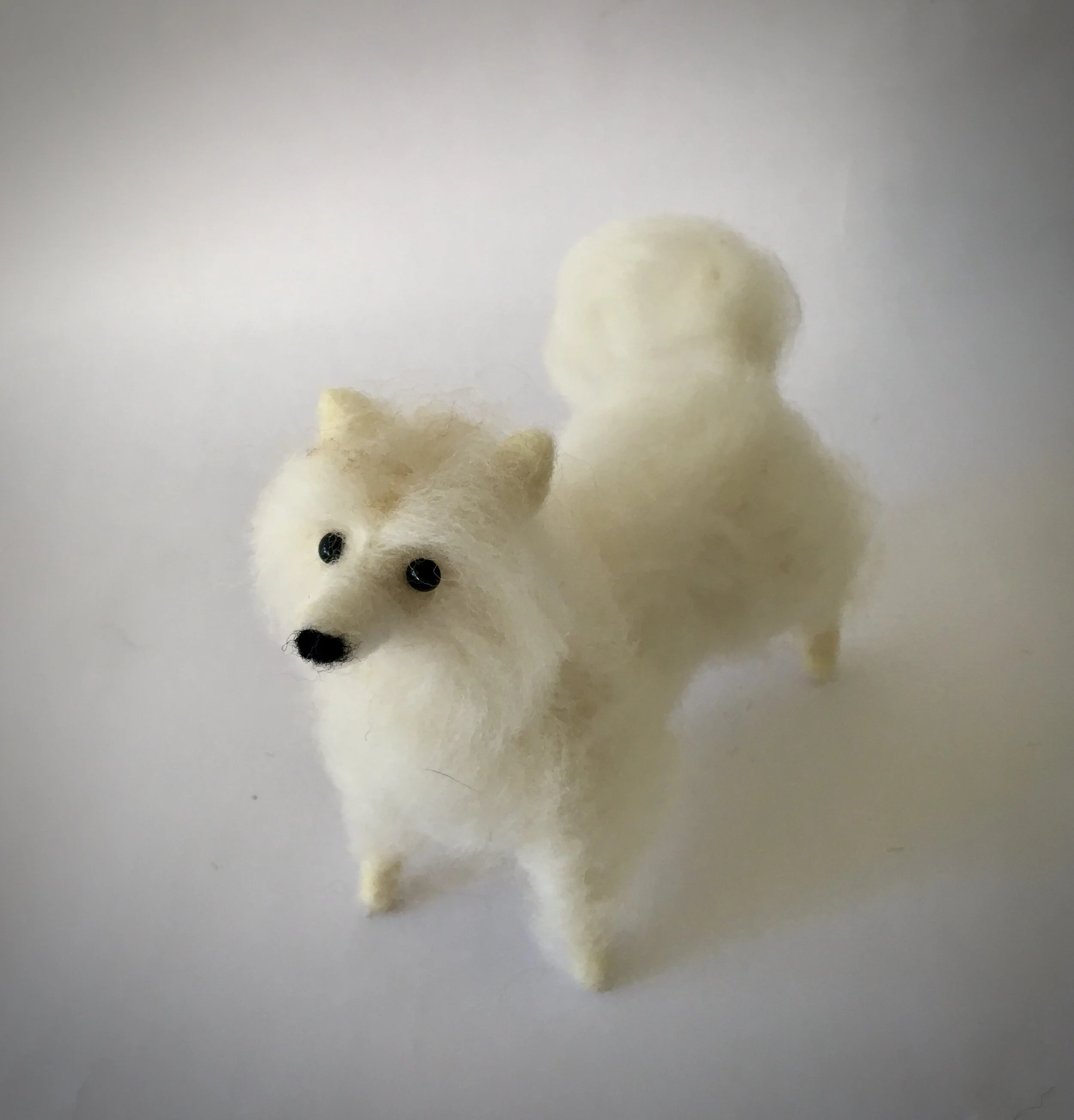 0E7372A2-AE64-41FA-8F98-3E464E69731F