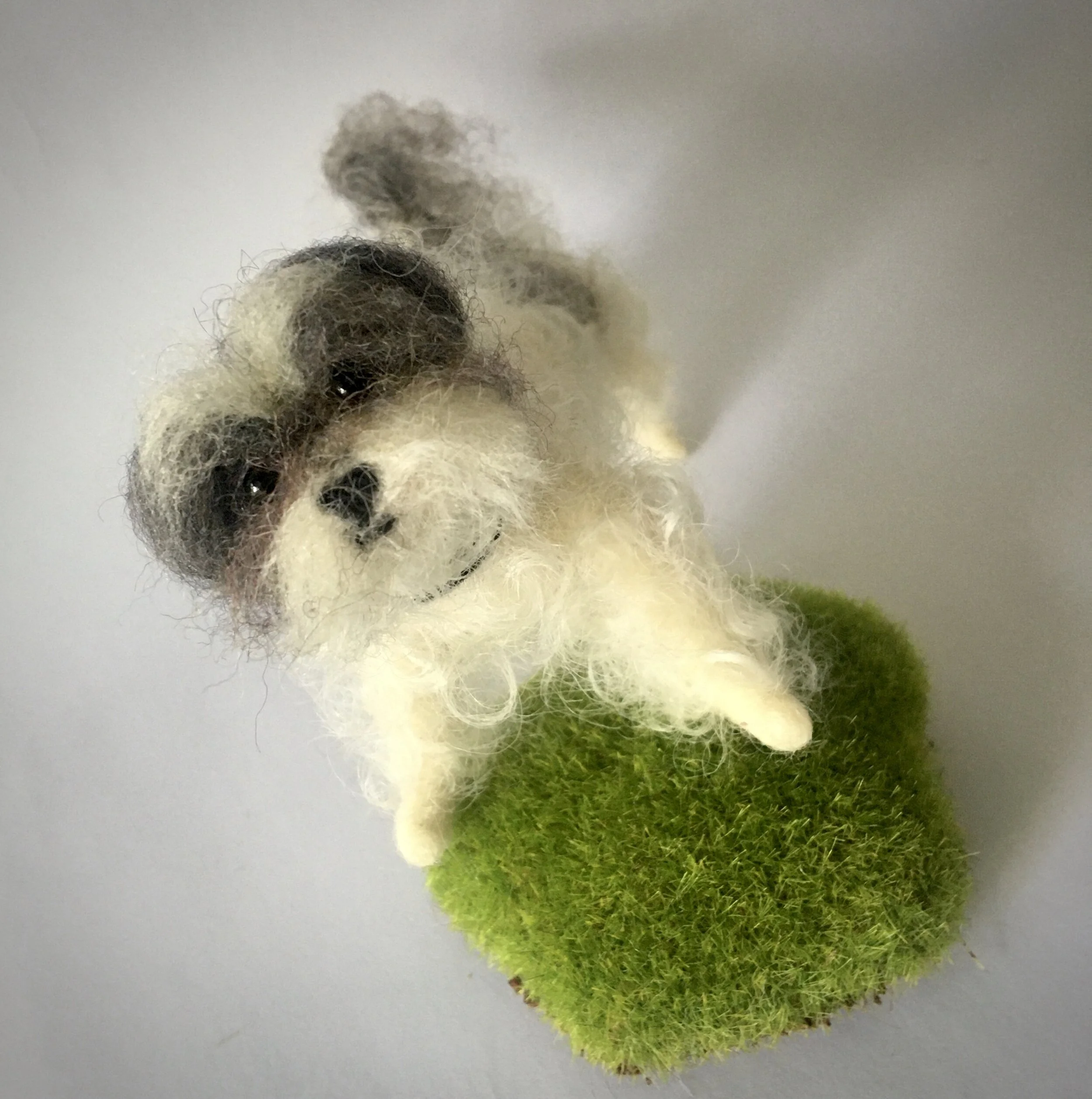 7B538A36-937A-4543-985B-A62FCEAB84CB