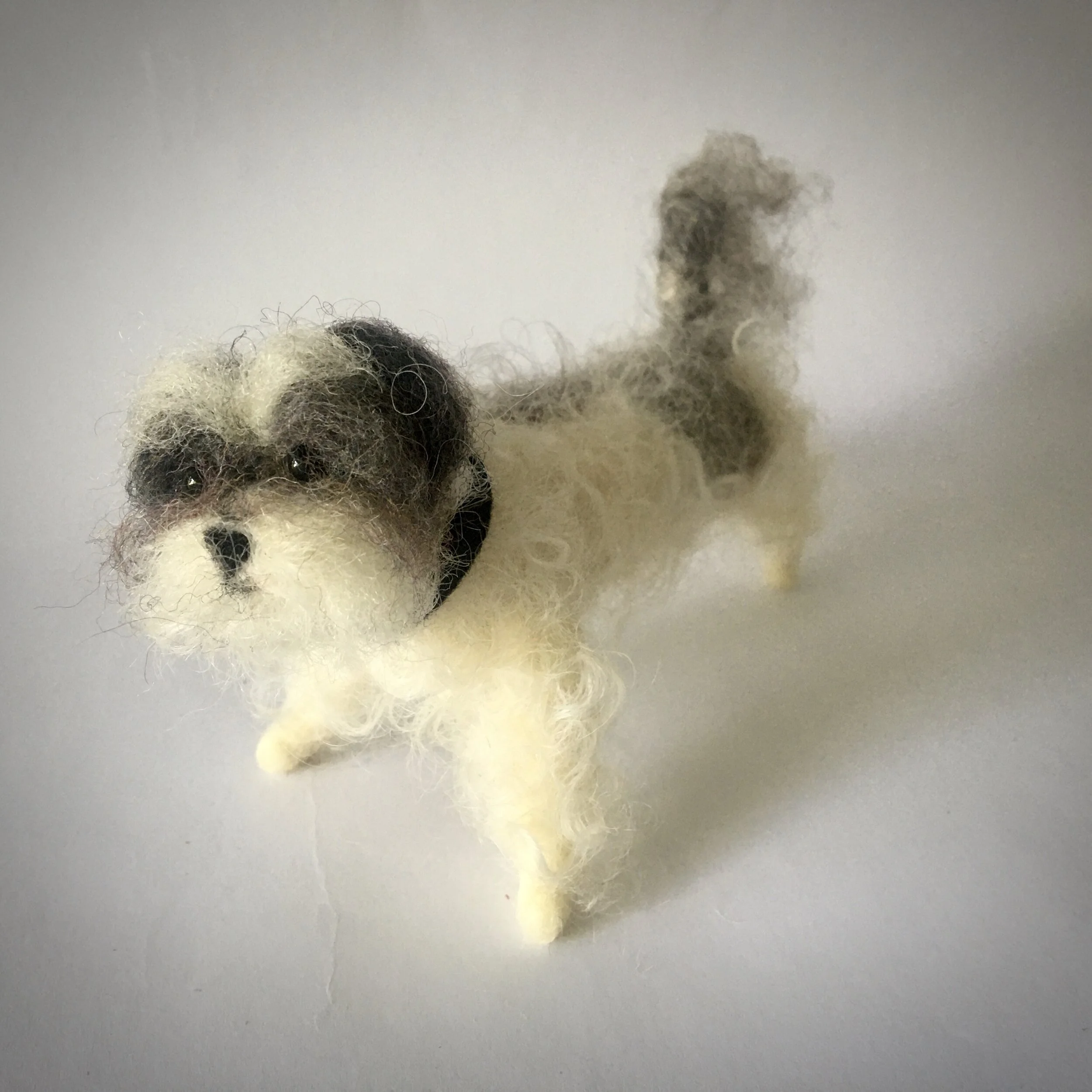 7273AB7F-D978-4FF9-BA39-6A424FA19BB7