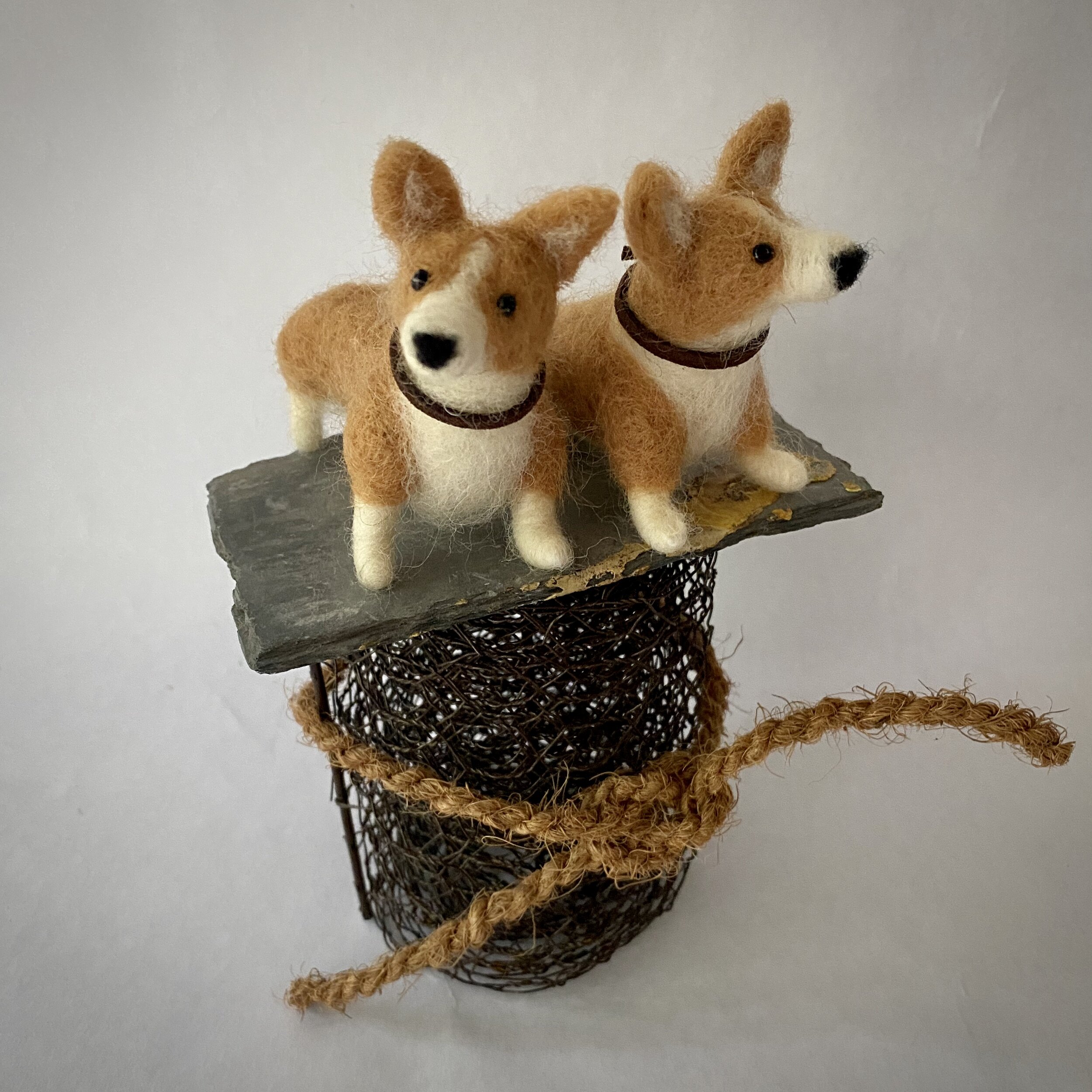 Corgi Quorum 1.jpg