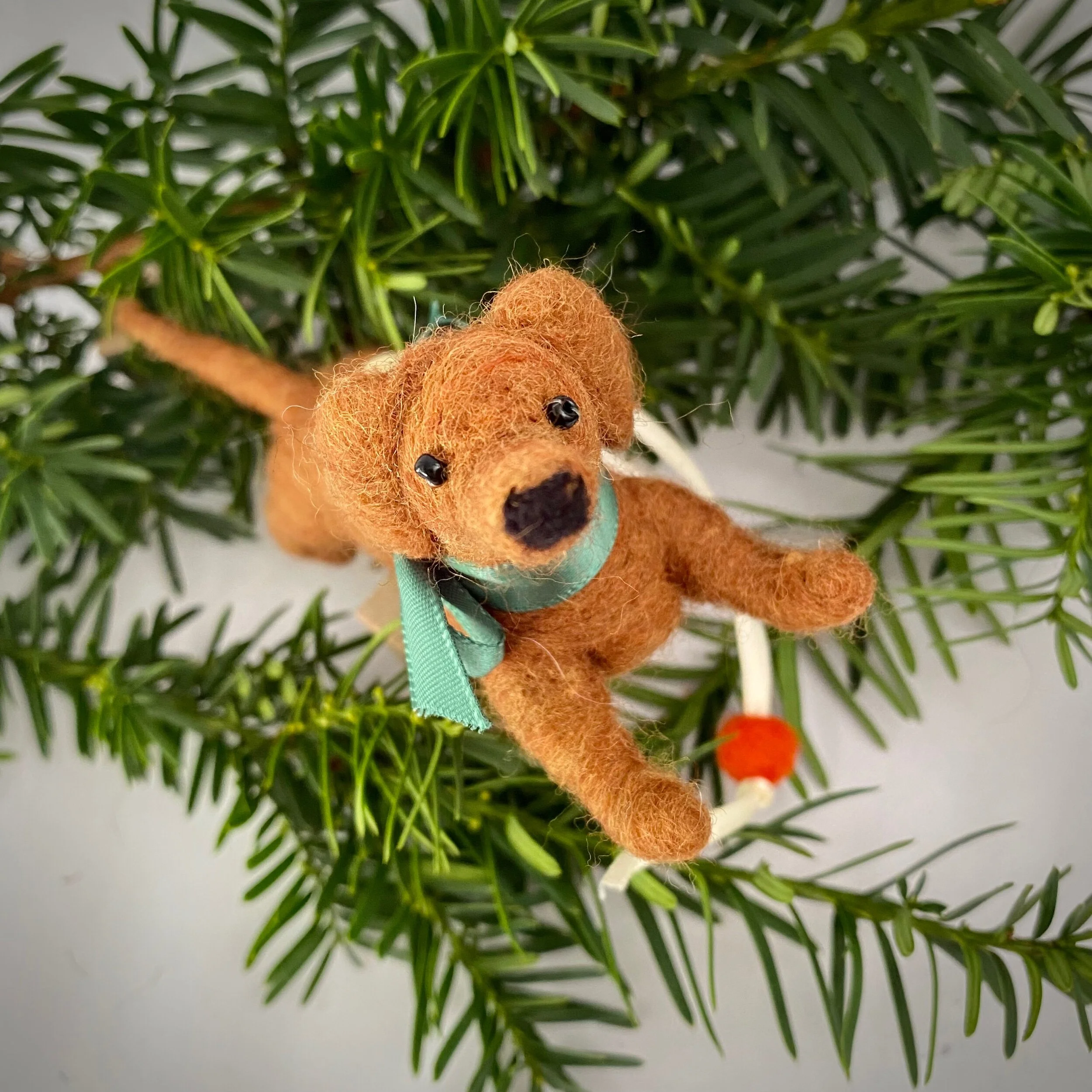 968F1E19-114B-40C0-92EA-2449850144A8