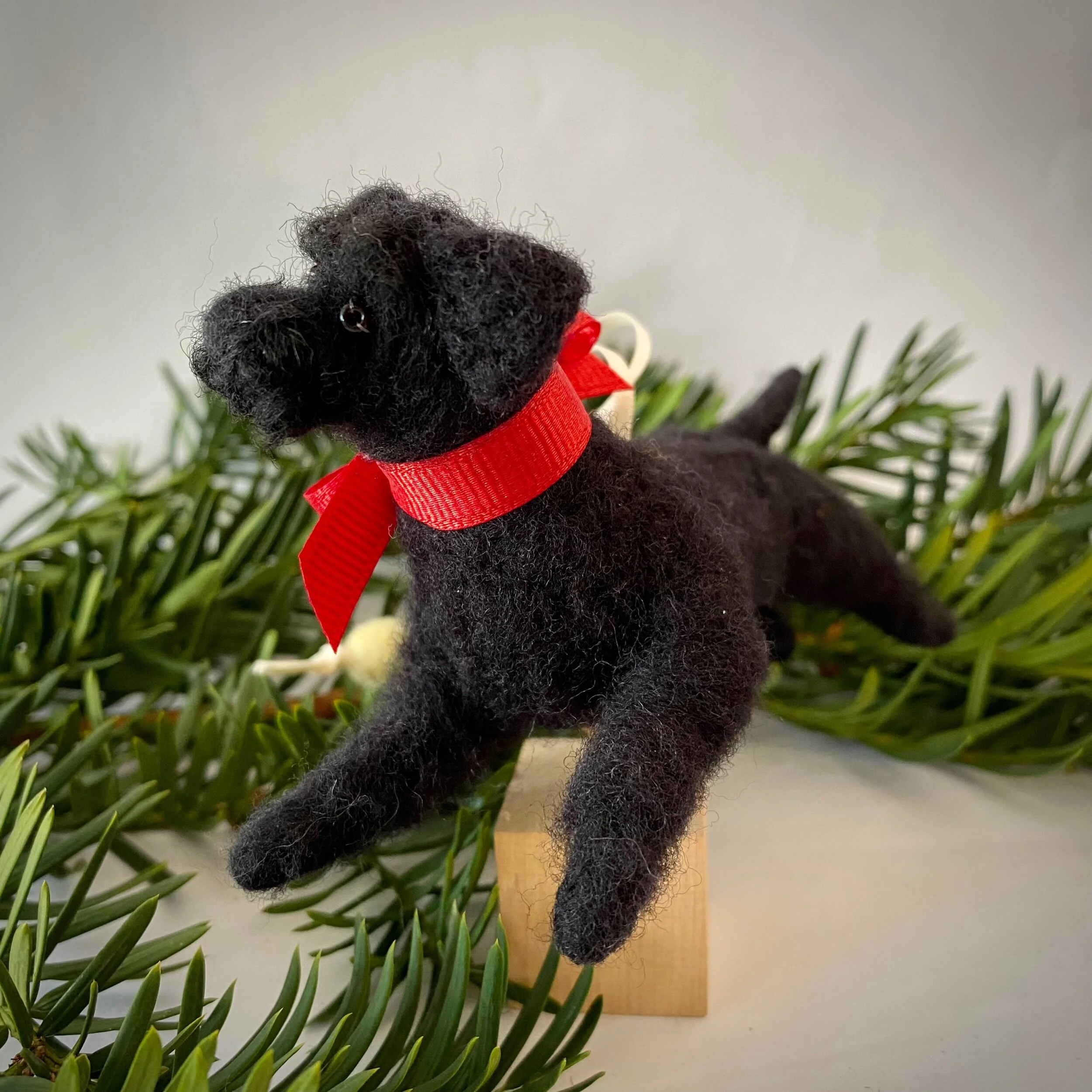 933F8DA5-12CF-4C68-AA3B-5375AD51CEBC